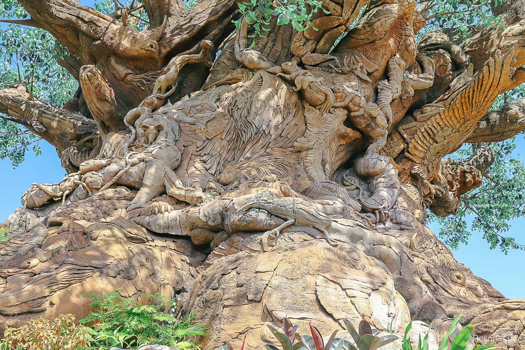 a closeup of the wood carvings that wrap around the Tree of Life 