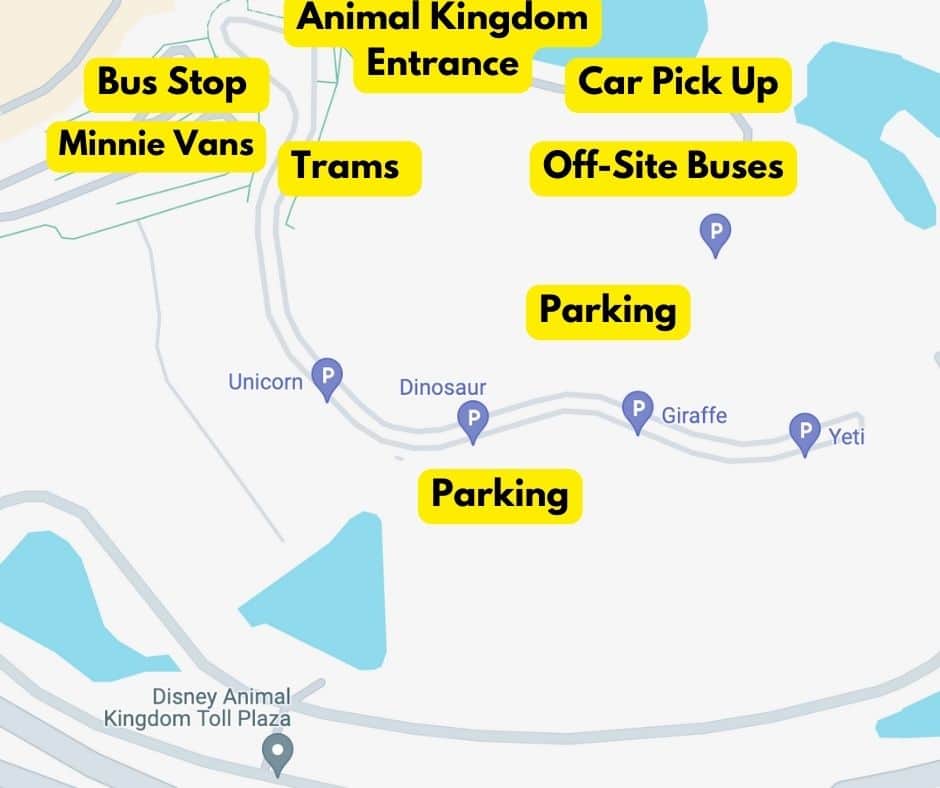 map with transportation options for Disney's Animal Kingdom 