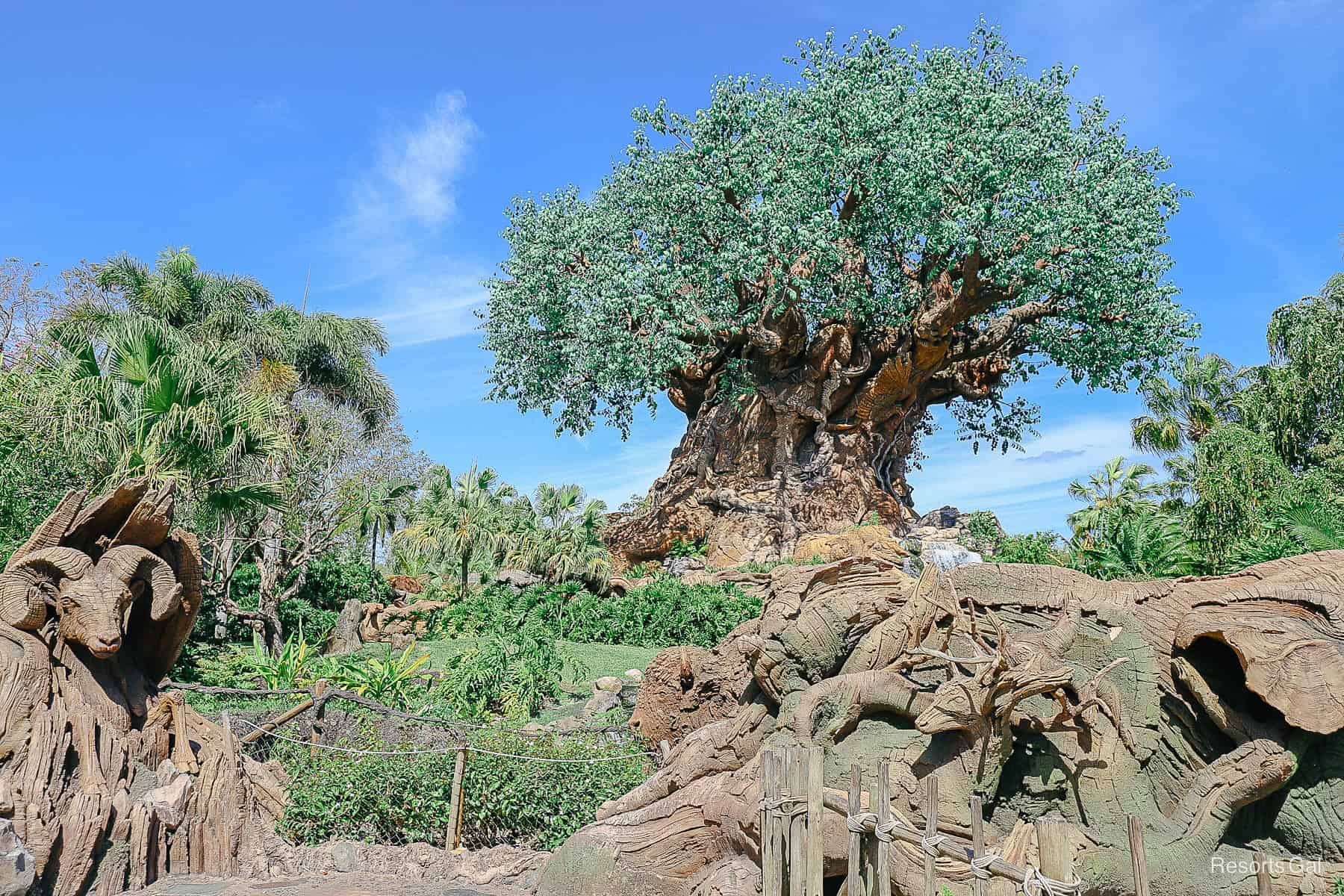 a scenic photo that represents Disney's Animal Kingdom 