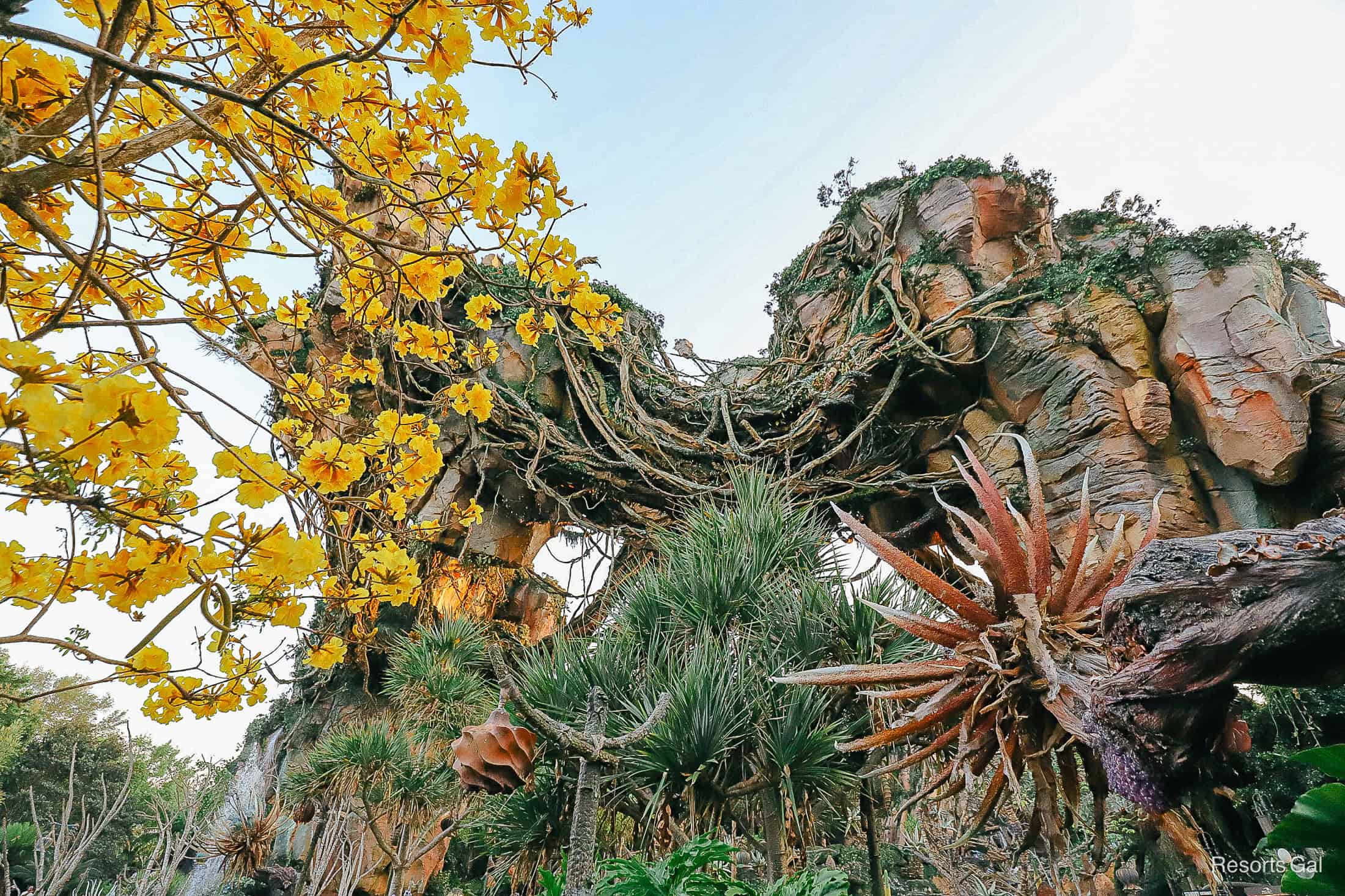 Pandora, World of Avatar at Disney's Animal Kingdom 