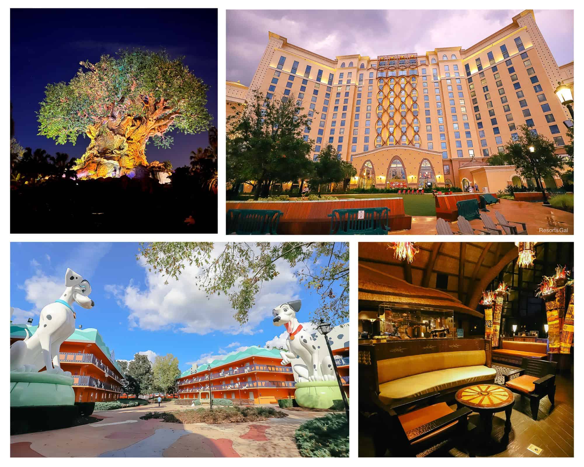 a collage of images representing the Animal Kingdom Lodge Resorts Area