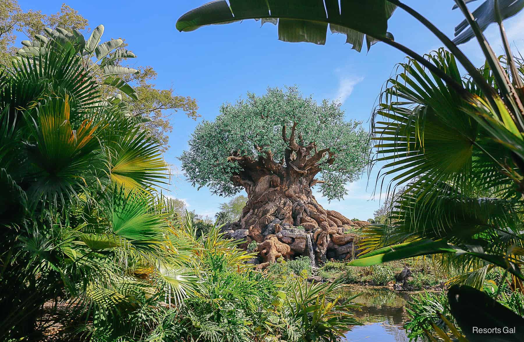 The Tree of Life is the park icon at Disney's Animal Kingdom 