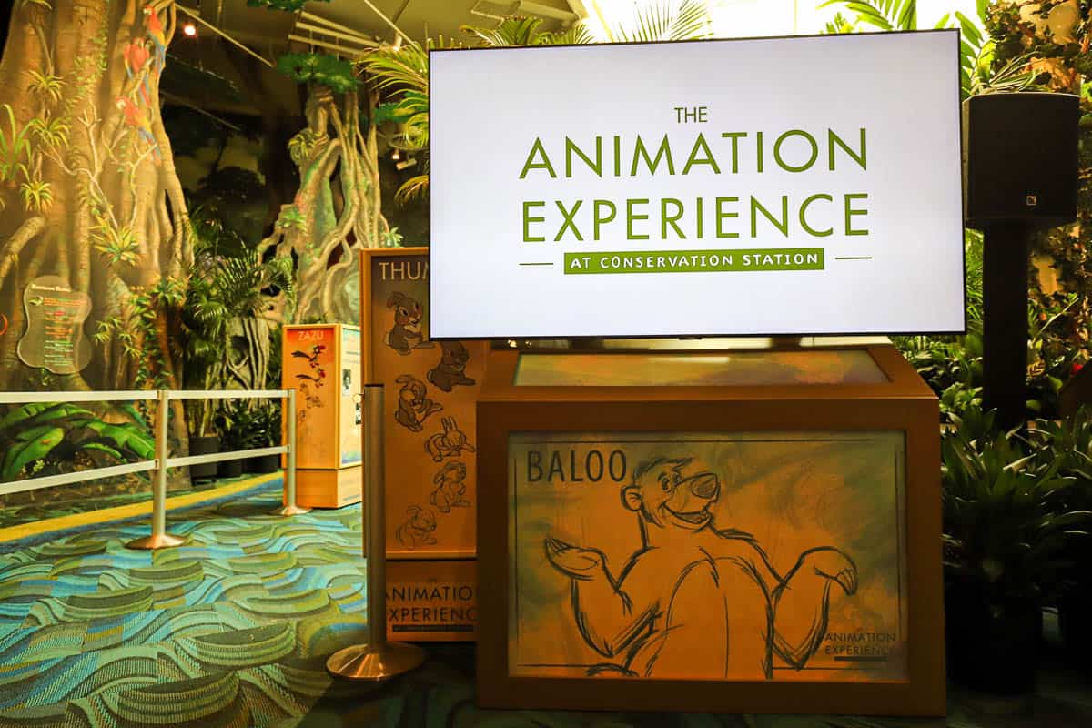 Guests Can Learn to Draw “Favorite Seafarers” from ‘Moana’ for a Limited-Time at Disney’s Animal Kingdom