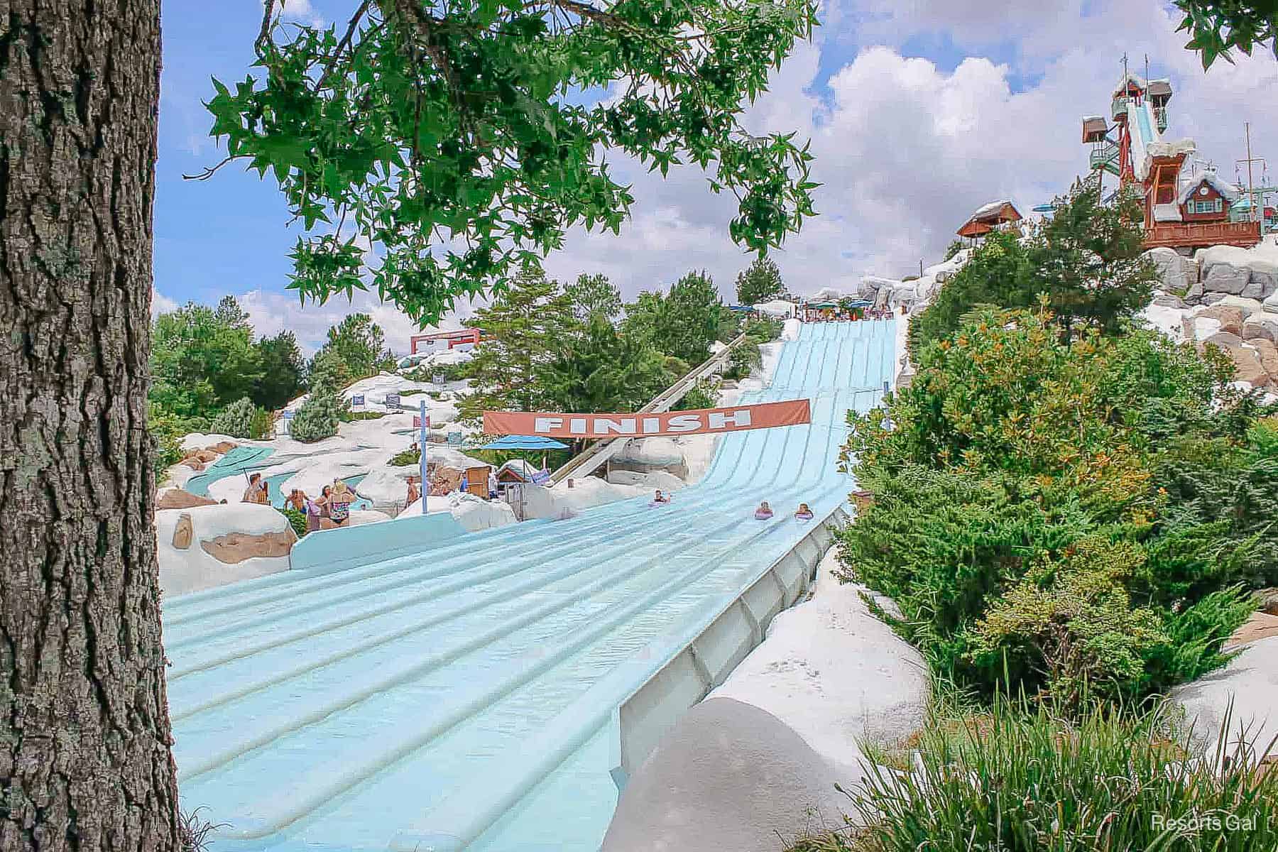 guests racing to the finish down Toboggan Racers at Blizzard Beach 