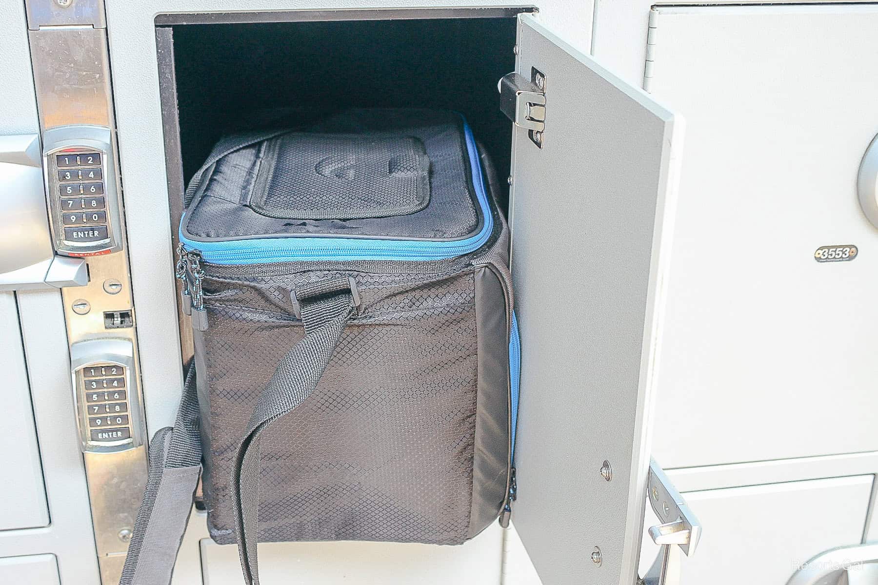 my cooler in a large size locker at Blizzard Beach 