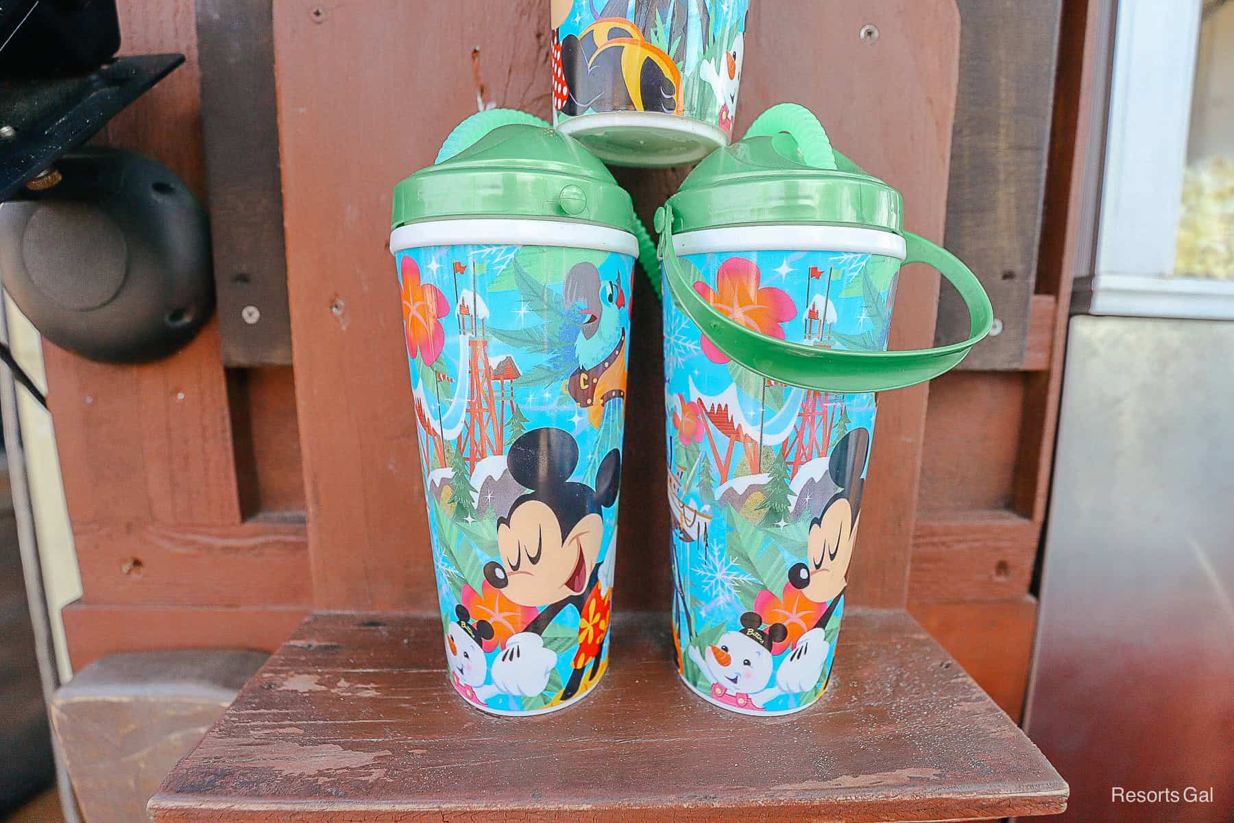 thw water park mug design with Minnie Mouse and Mickey Mouse 