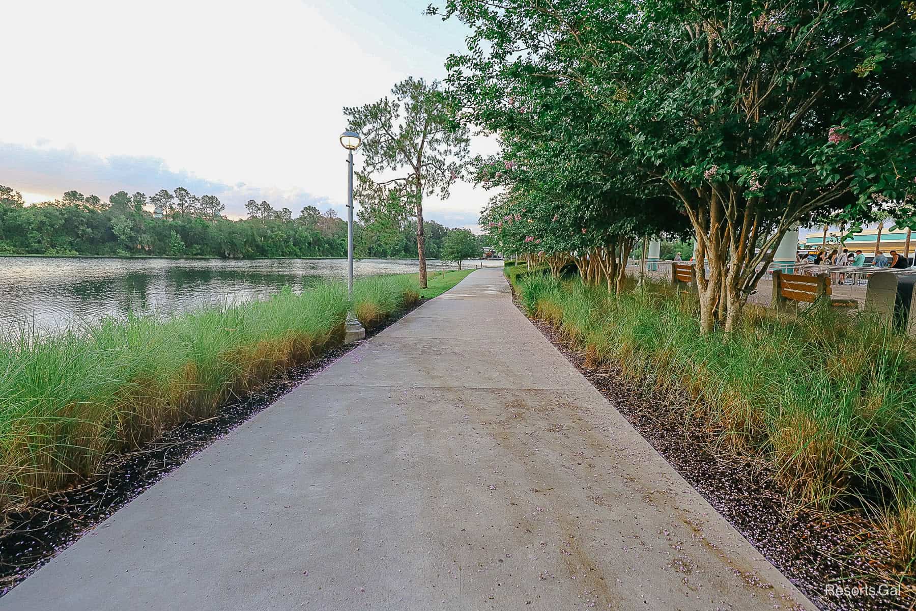 the walking path start to the Boardwalk from Hollywood Studios 