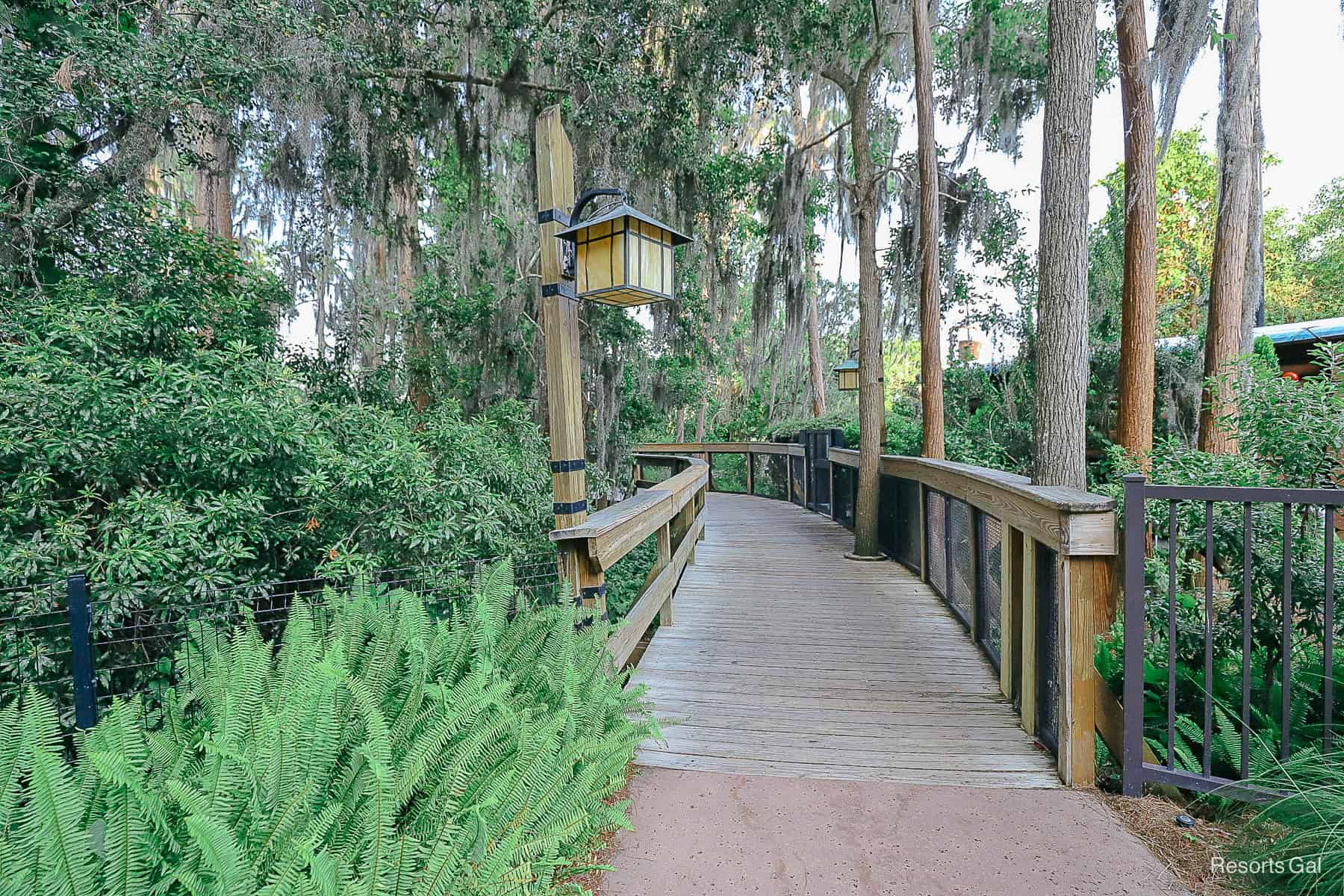a raised Boardwalk leads over the marsh area between land and the resort's boat dock 