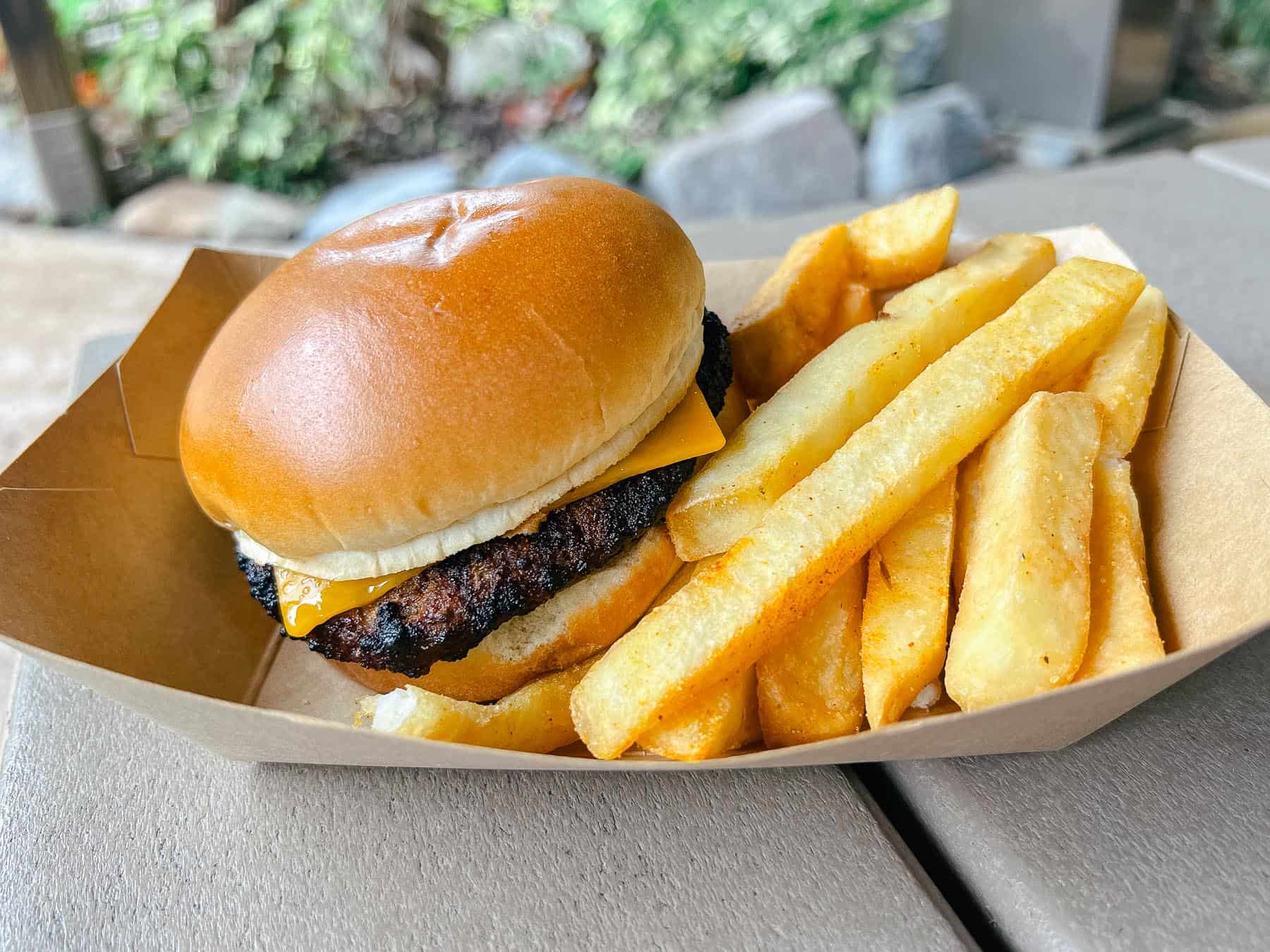 a cheeseburger with fries dining option at Typhoon Lagoon 