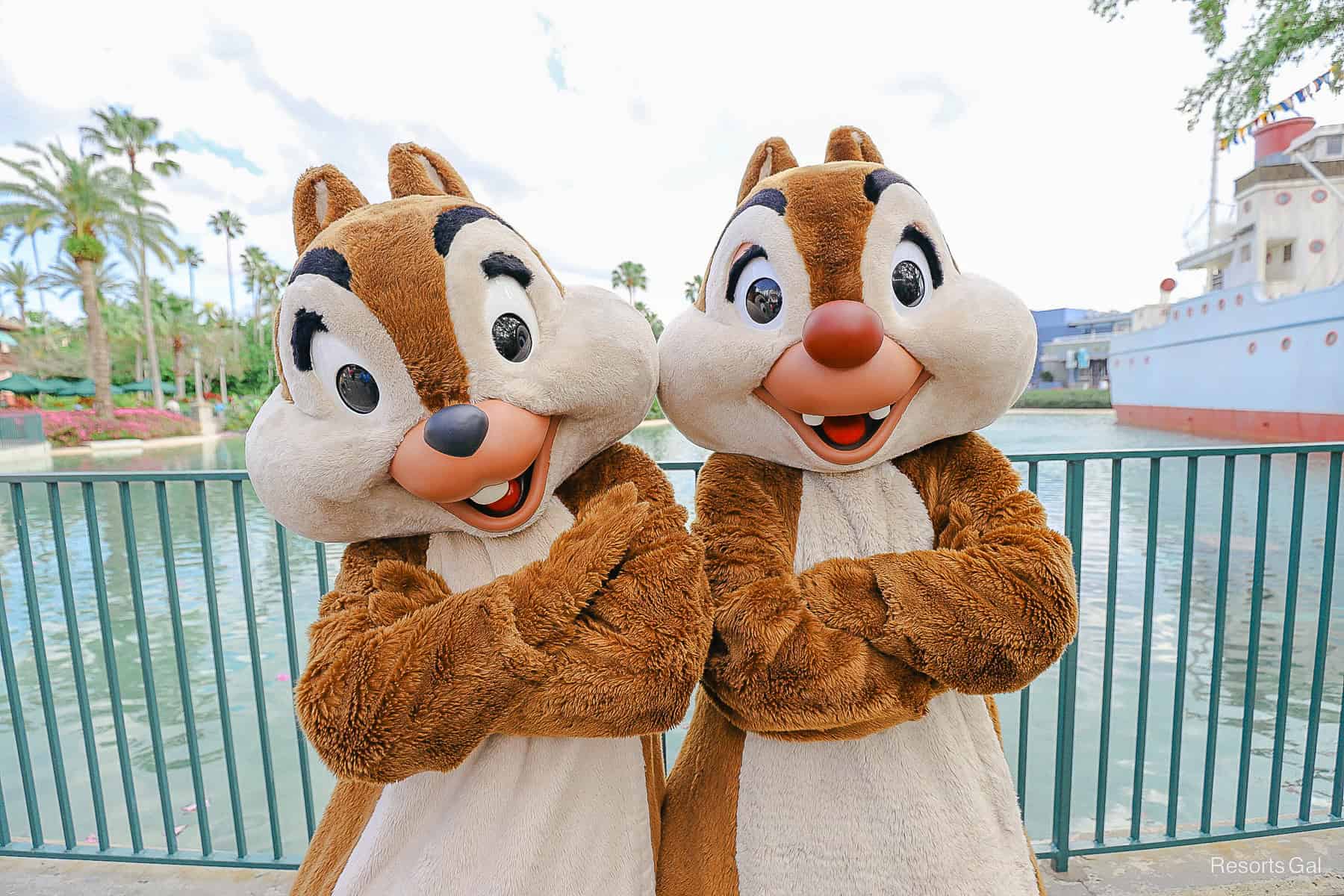 Meet Chip ‘n’ Dale at Walt Disney World (Every Location with Photos)