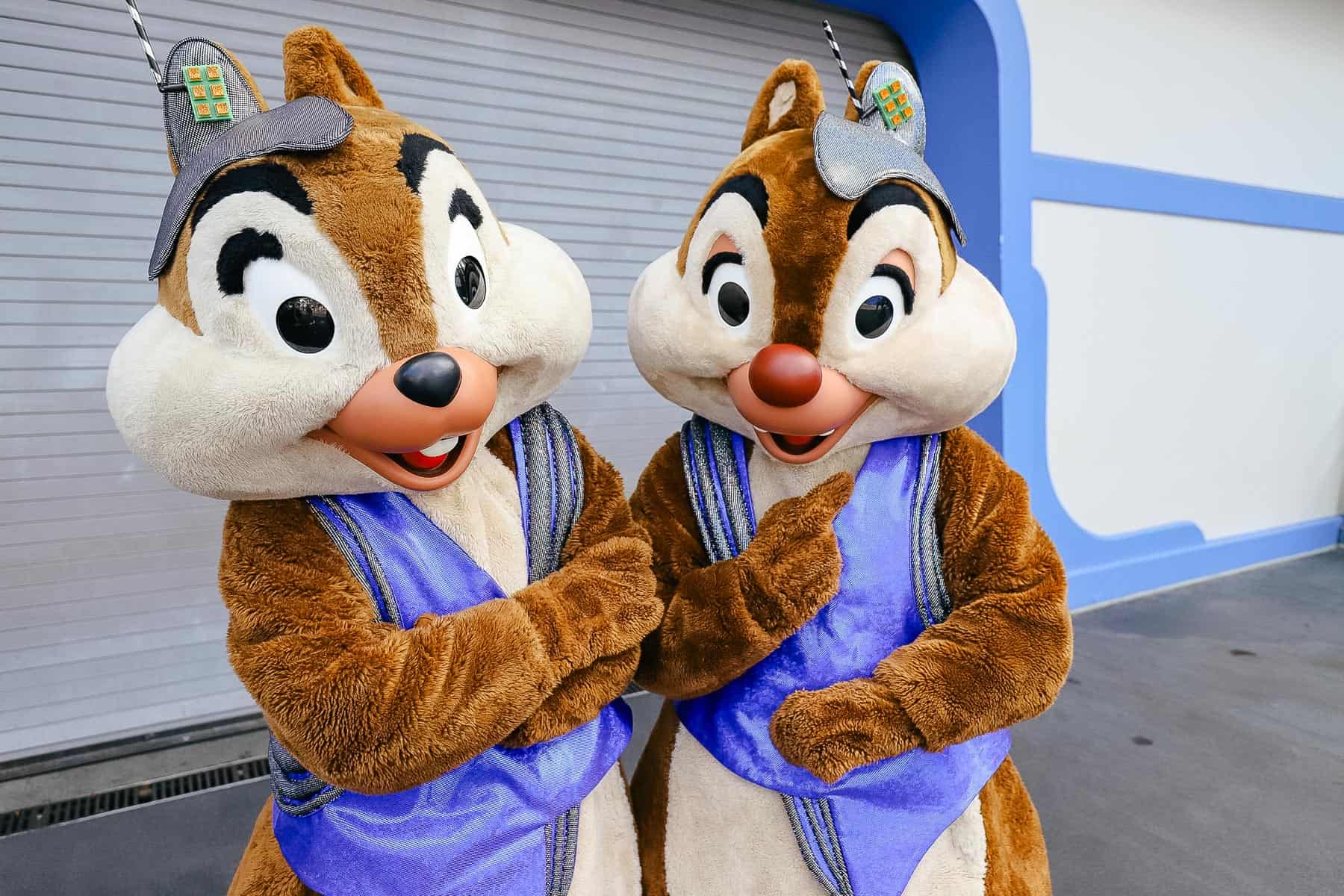 Chip on the left side and Dale on the right side. They are wearing purple vests and space helmets. 