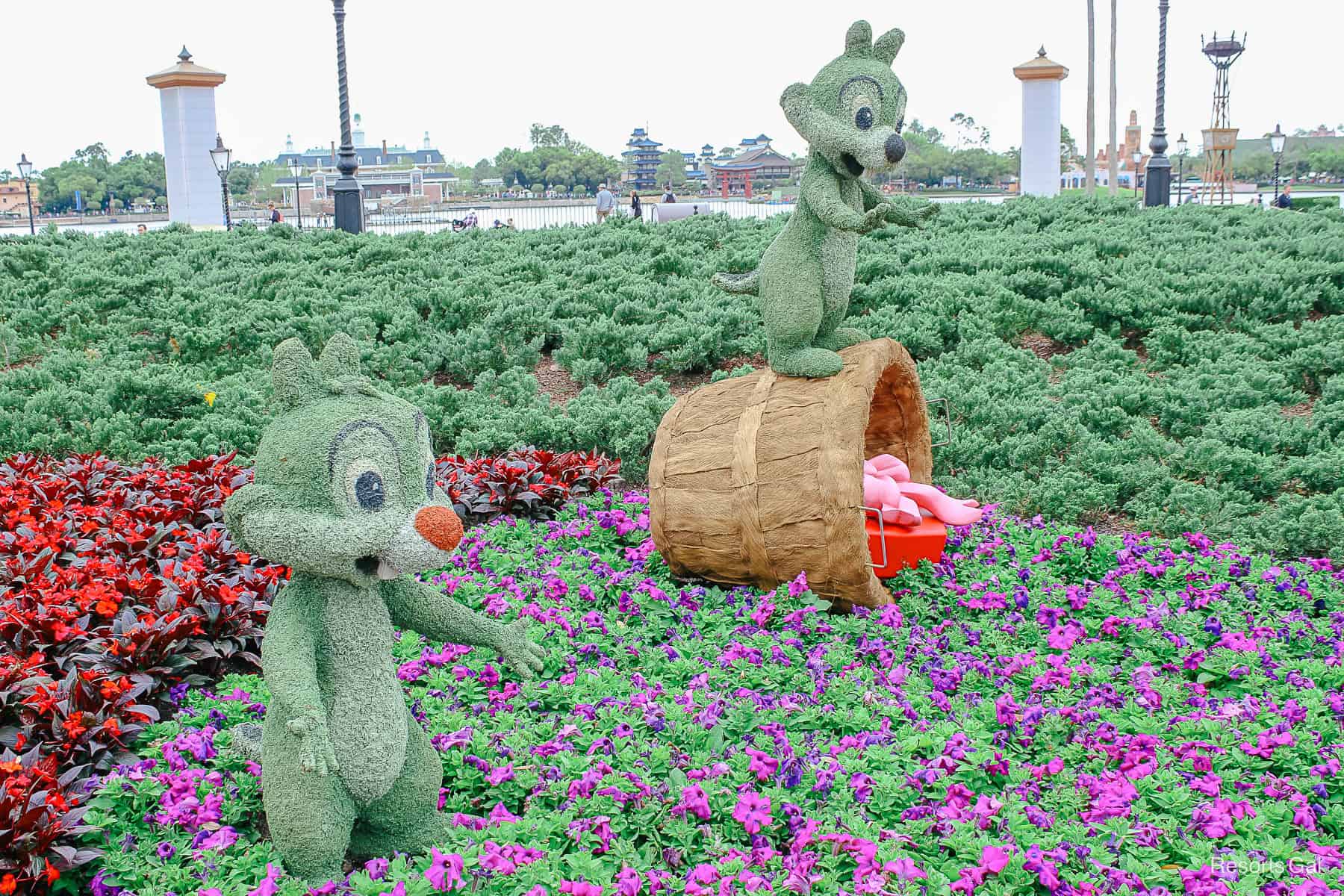 Chip and Dale topiaries surrounded by purple and red flowers in 2019.