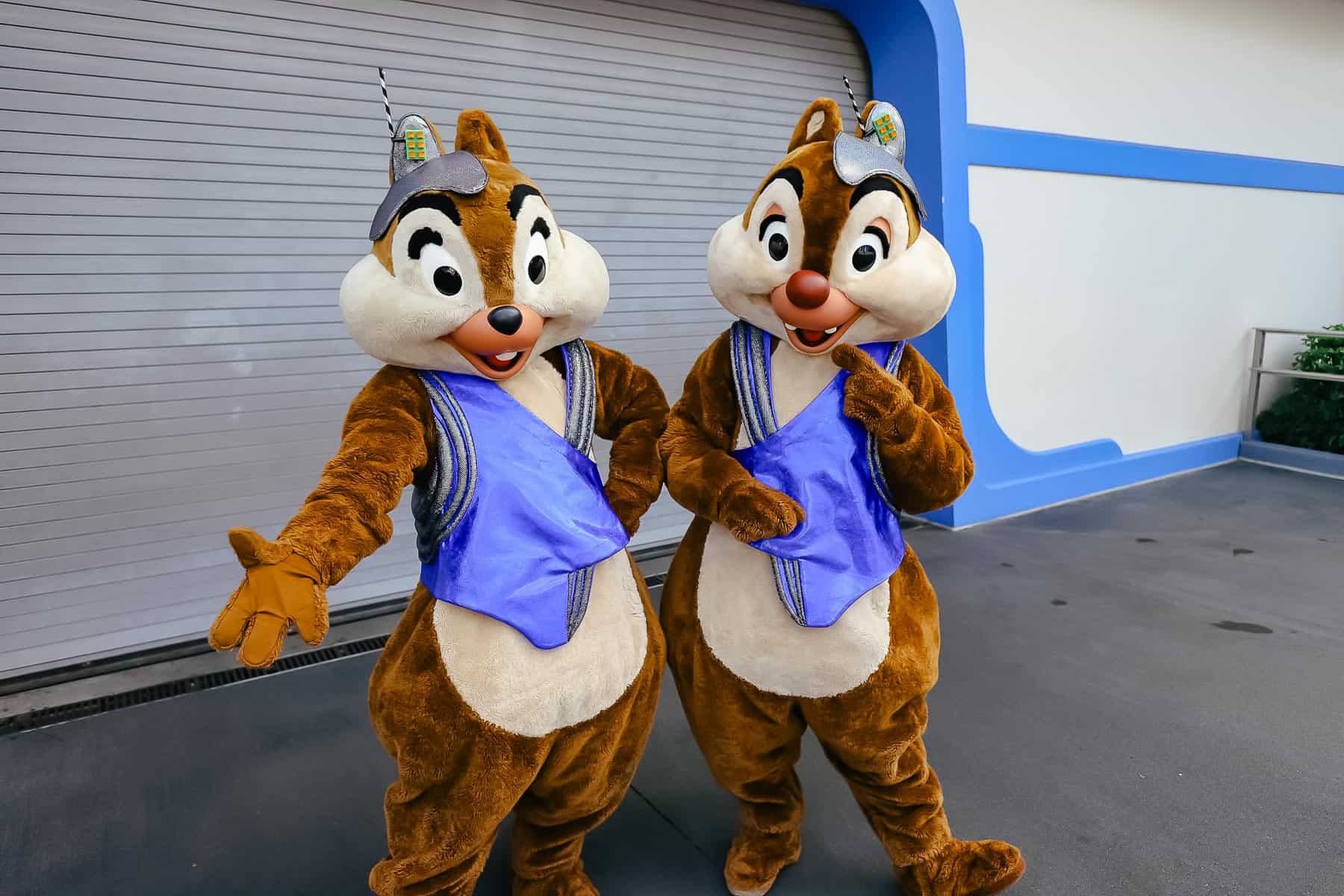 Chip and Dale pose with arm outs and pointing. 