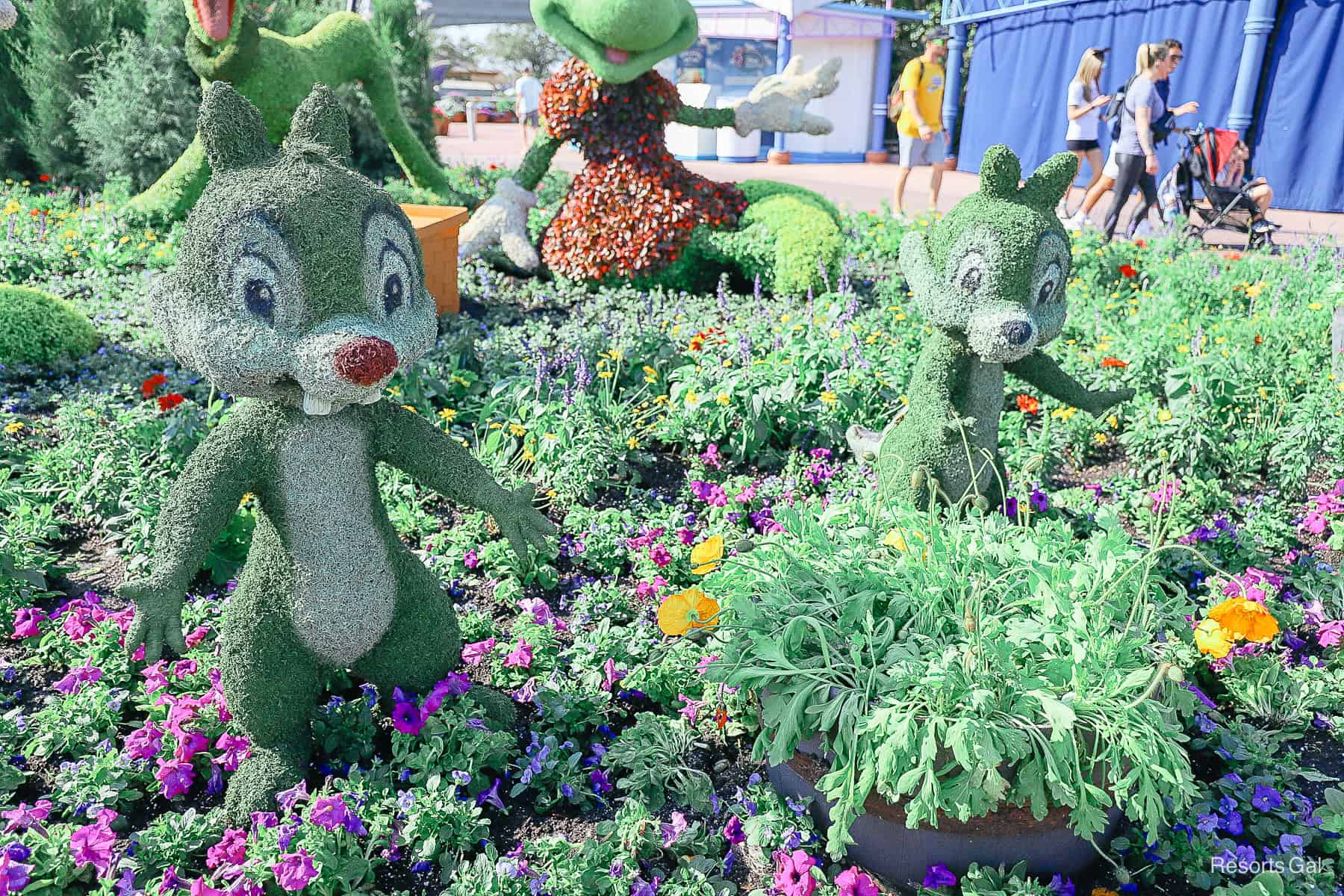 Chip and Dale sat at the very front of the combined character topiary bed. 