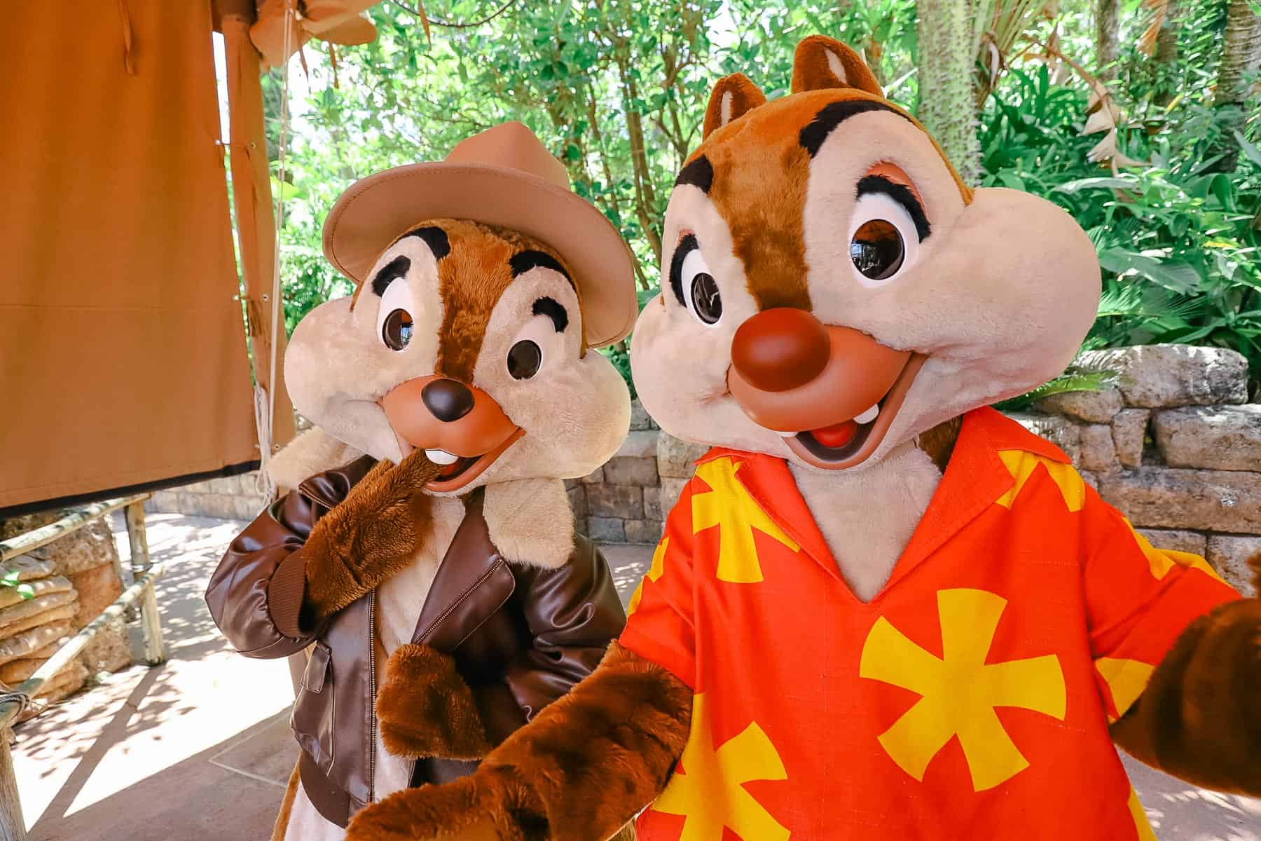 Chip and Dale dressed in brown leather jacket and a bright red shirt with yellow stars. 