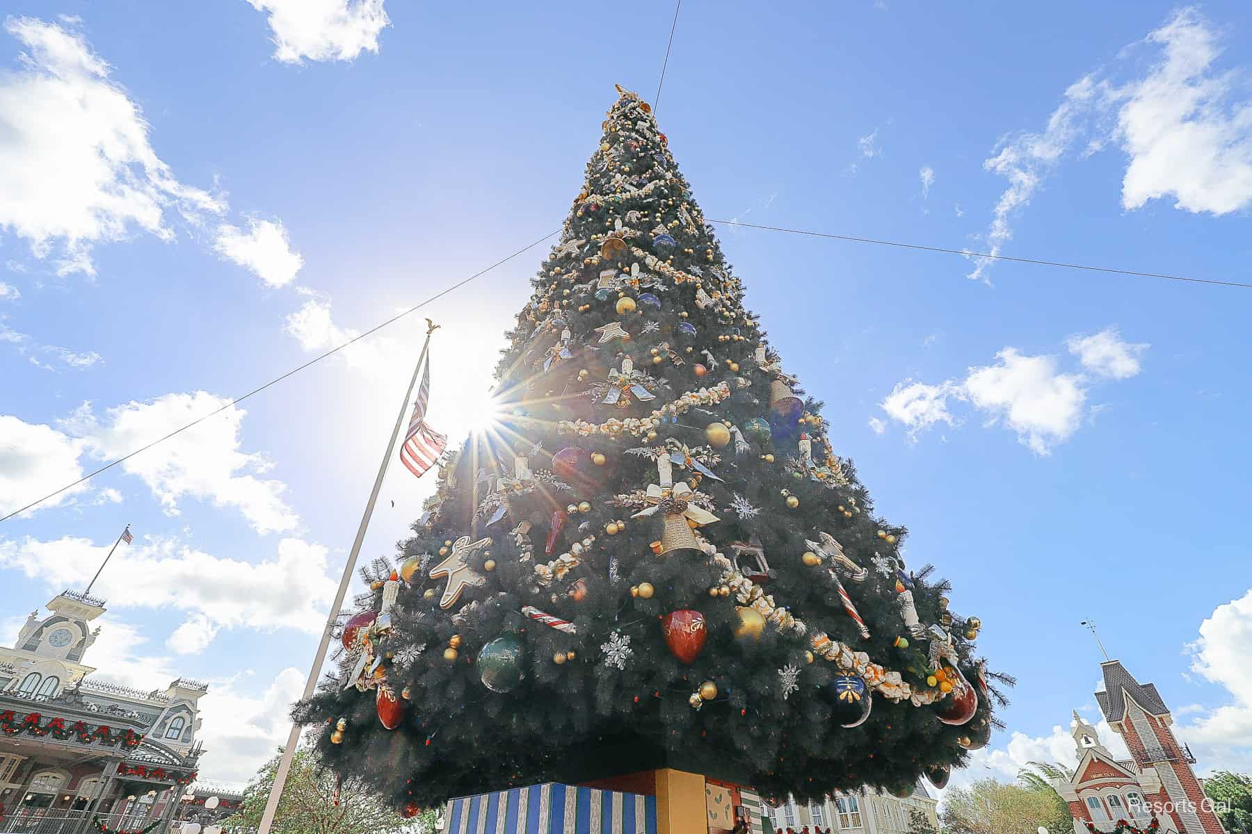 the sunshine peeking around the side of the Christmas tree in Town Square at Magic Kingdom