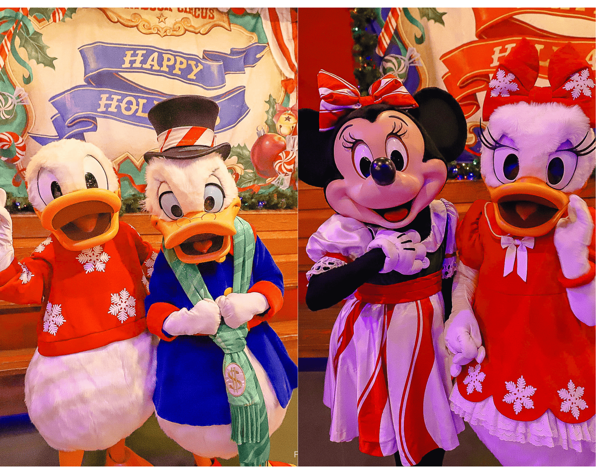 a collage of four characters who now meet together during the party at Magic Kingdom 