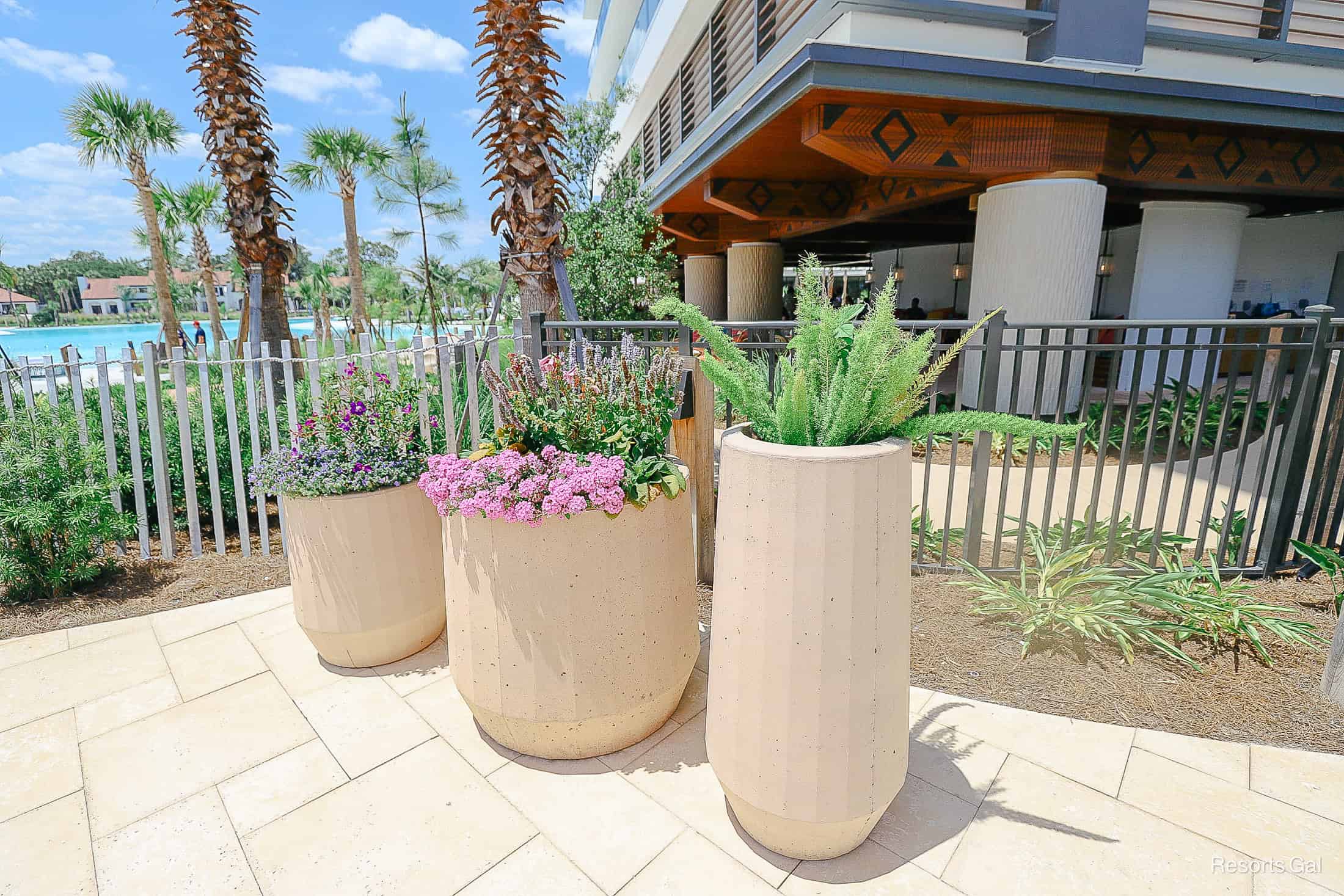 a few potted plants making up part of the landscaping at the Conrad Hotel Orlando 