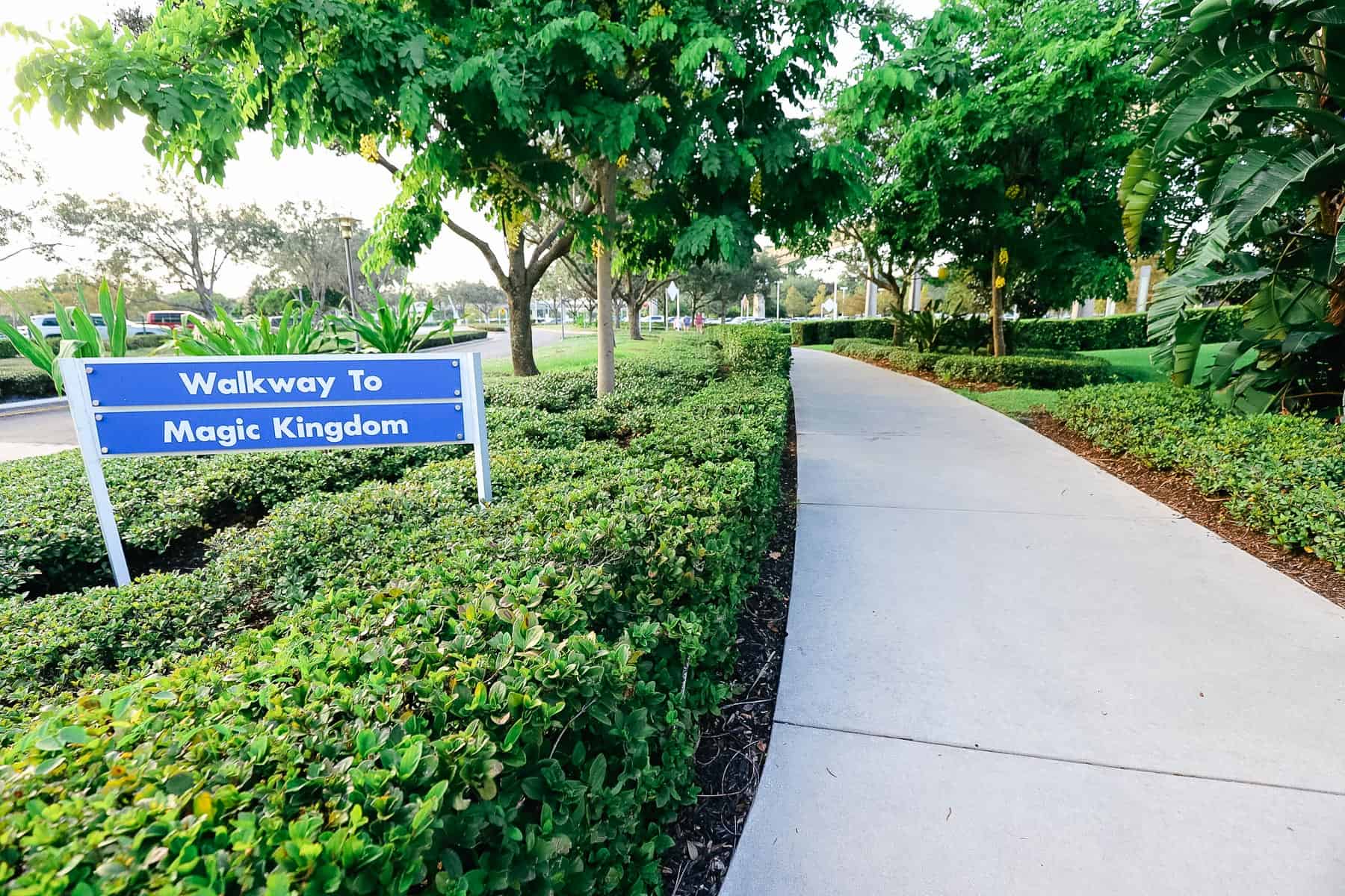 a blue sign that says Walkway to Magic Kingdom 
