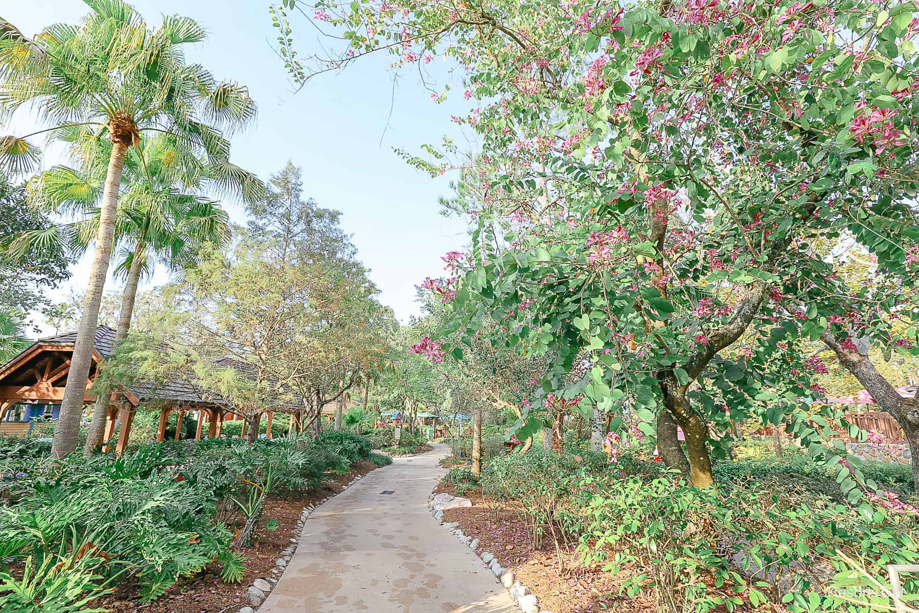 A sidewalk that laps the park with landscaping on each side. 