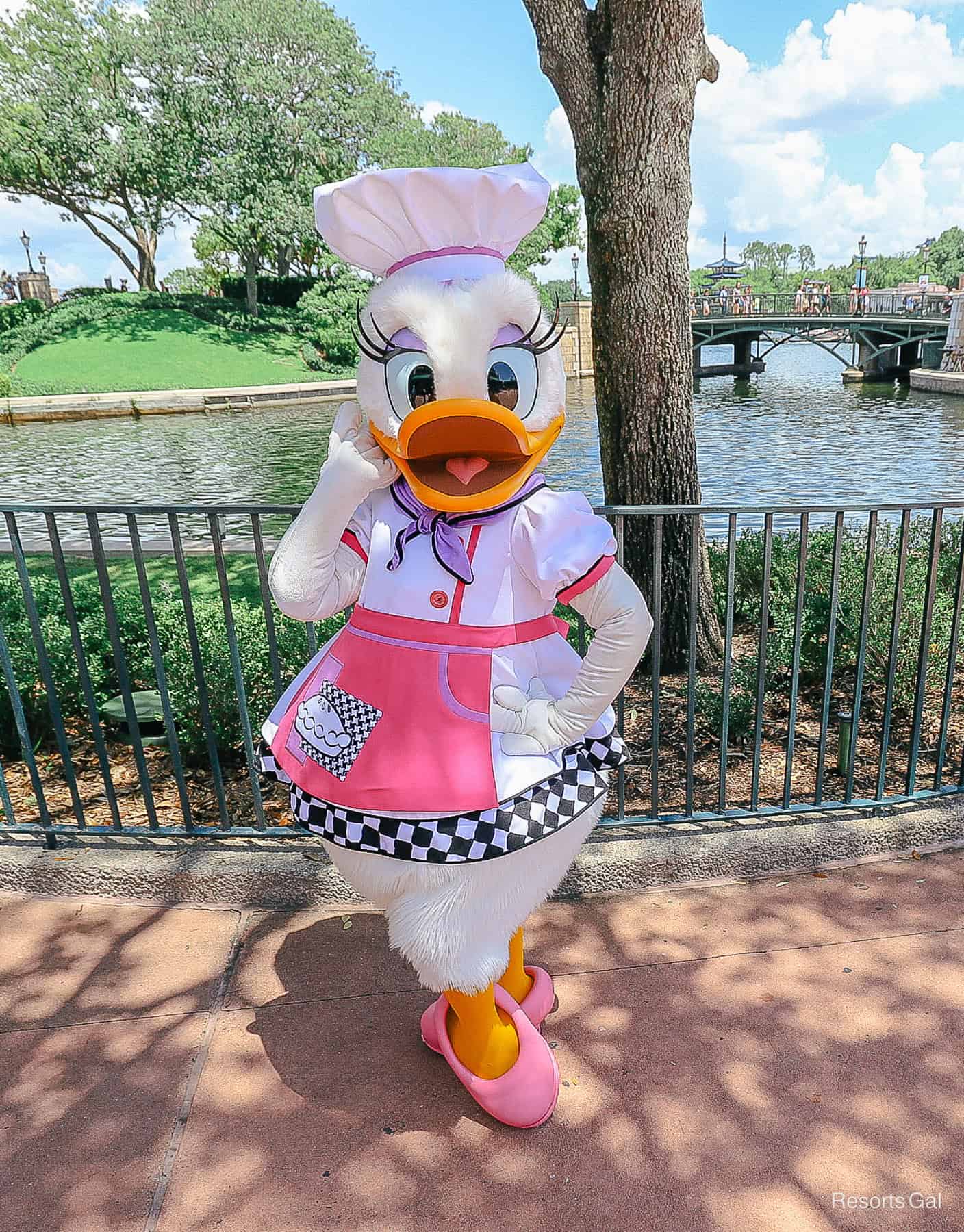 Daisy in chef's outfit with lavender scarf and hot pink apron 