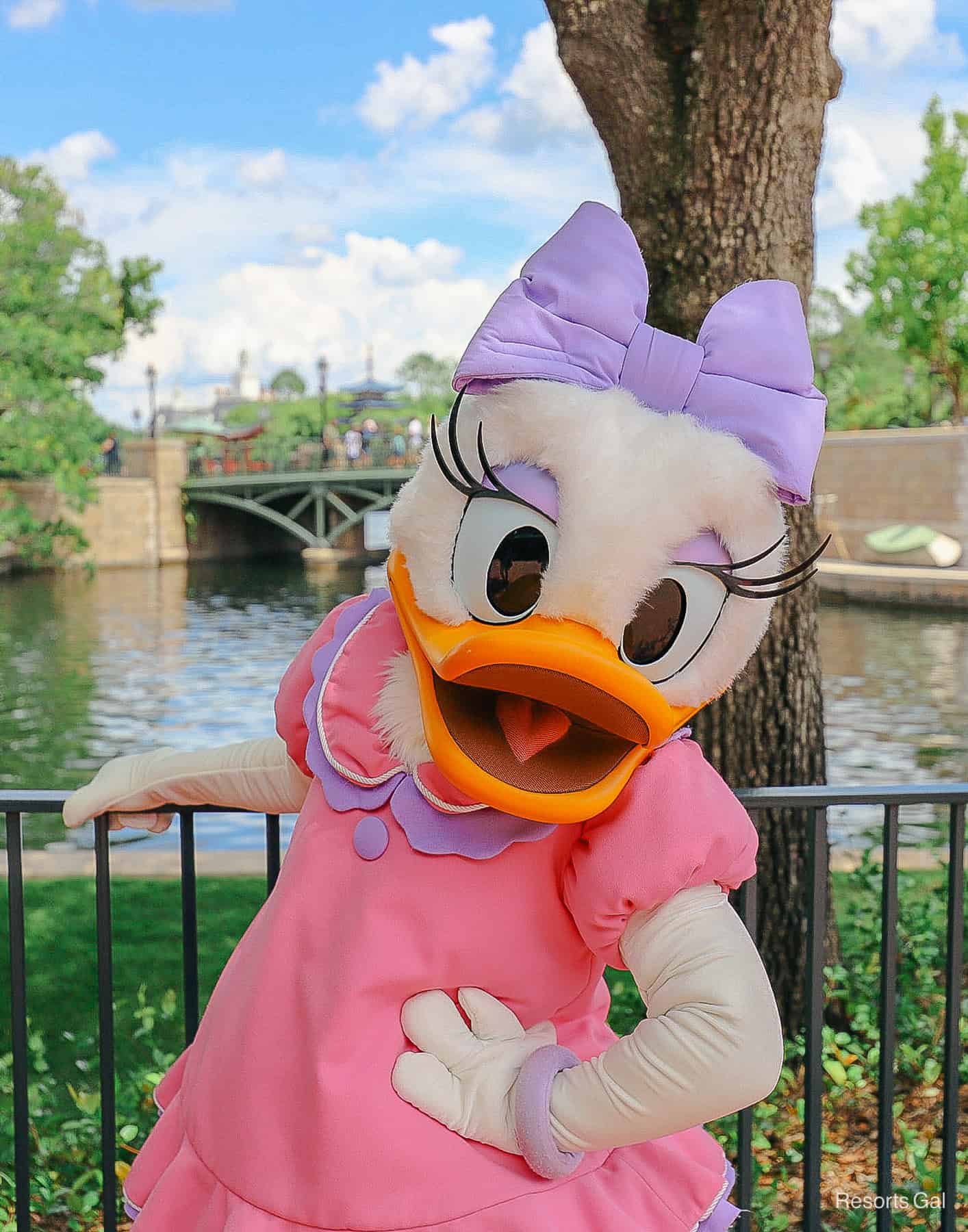 Daisy Duck with hand on hip leans in for a closeup. 