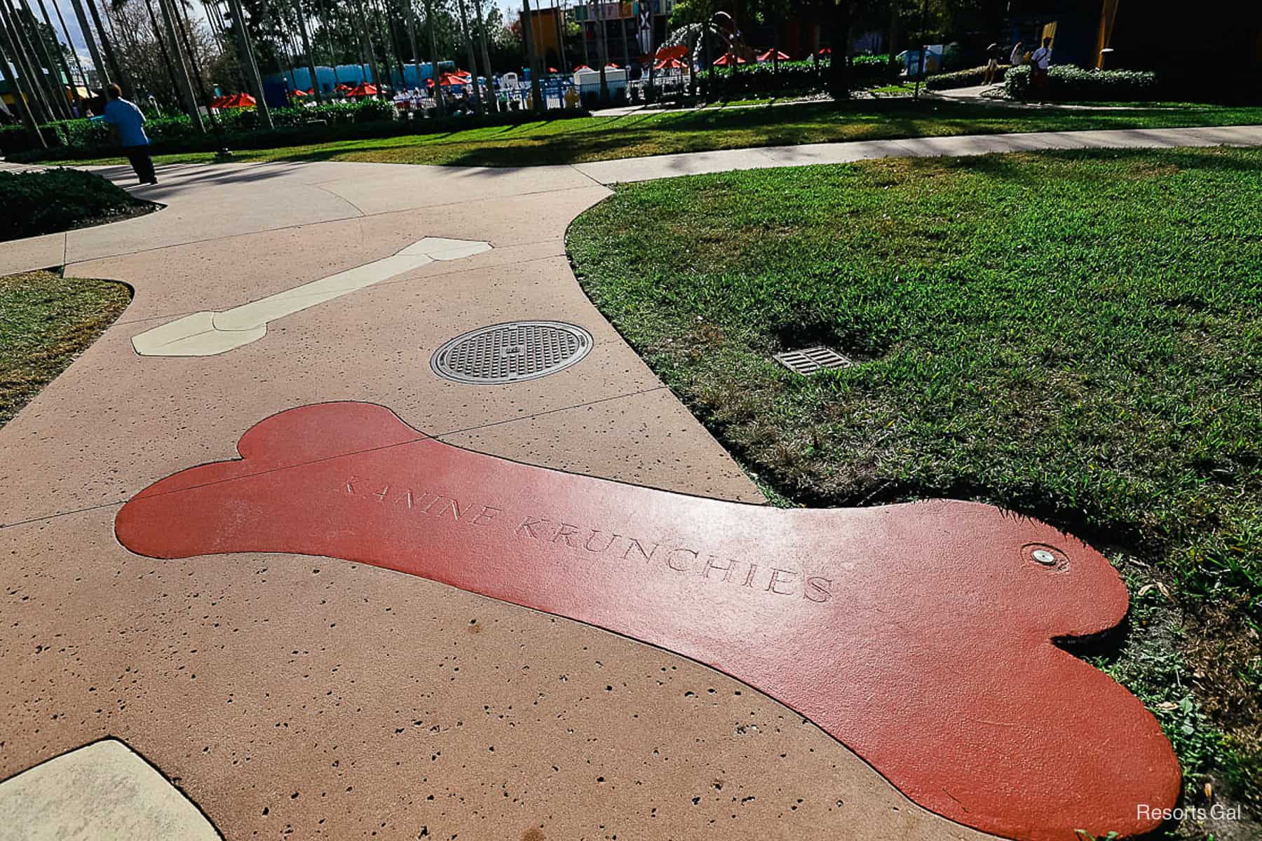 a pictures of bones in a sidewalk on the All-Star Movies path 