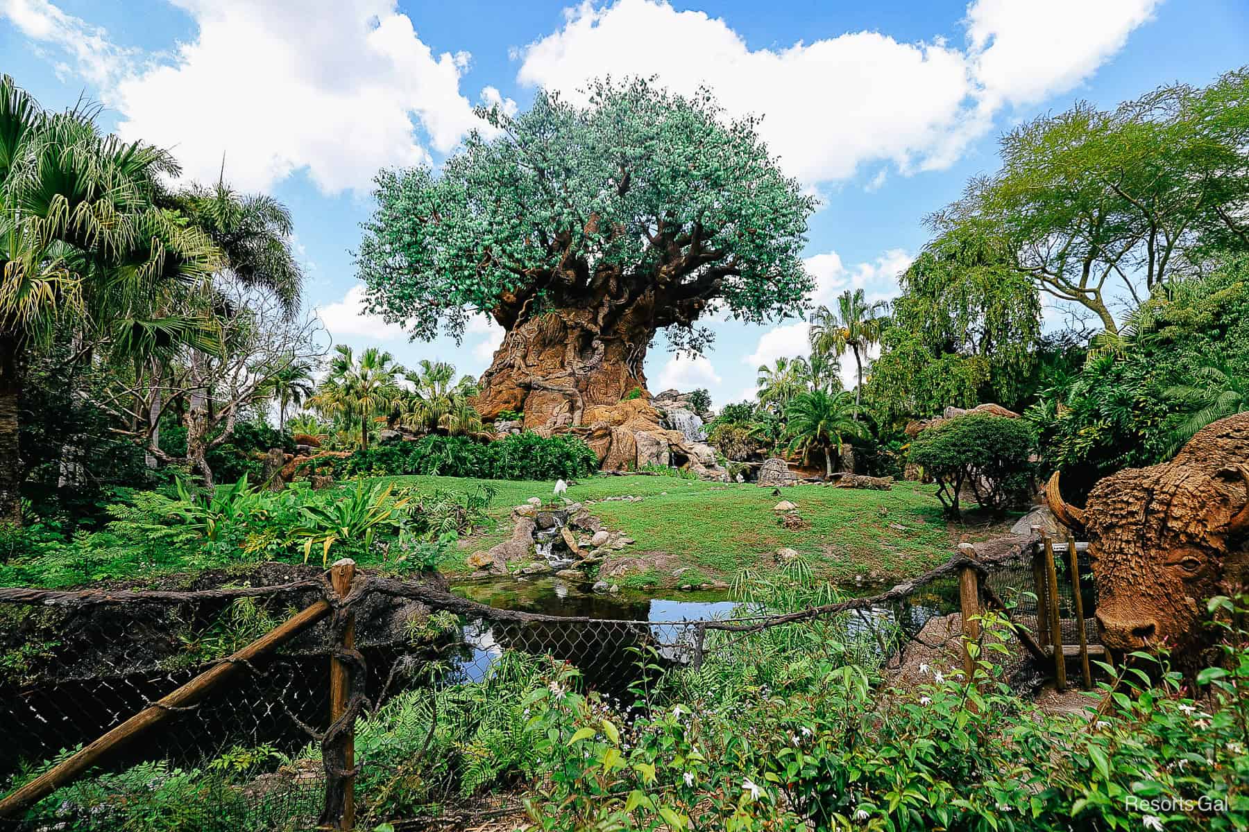 the Tree of Life surrounded by animal habitats at Disney's Animal Kingdom 