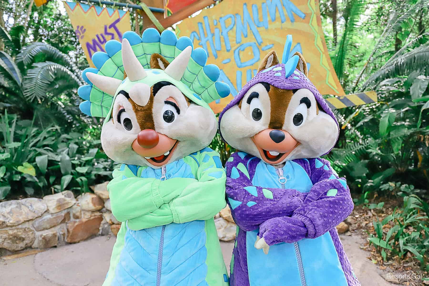 Chip and Dale with arms folded as they pose for a picture. 