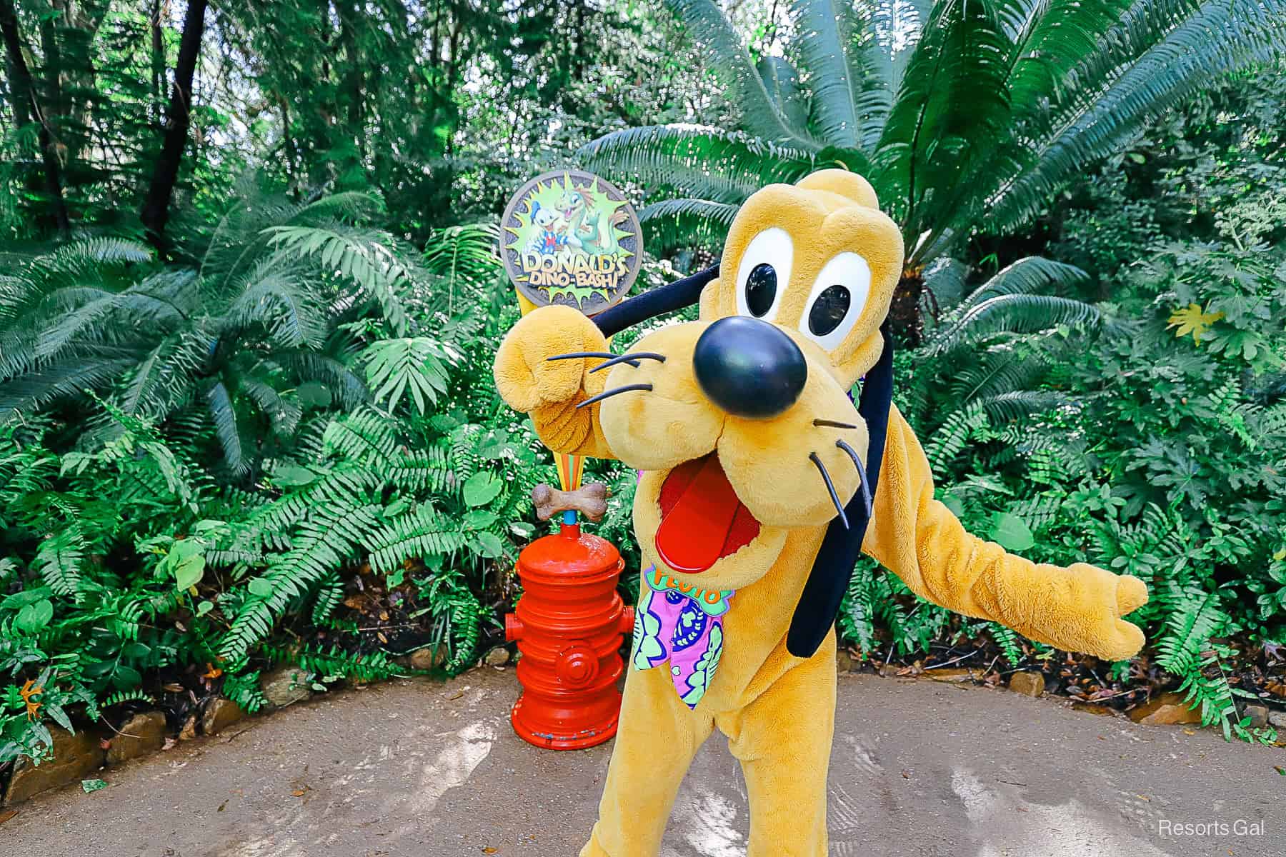 Pluto poses for a photo at his Animal Kingdom meet-and-greet. 