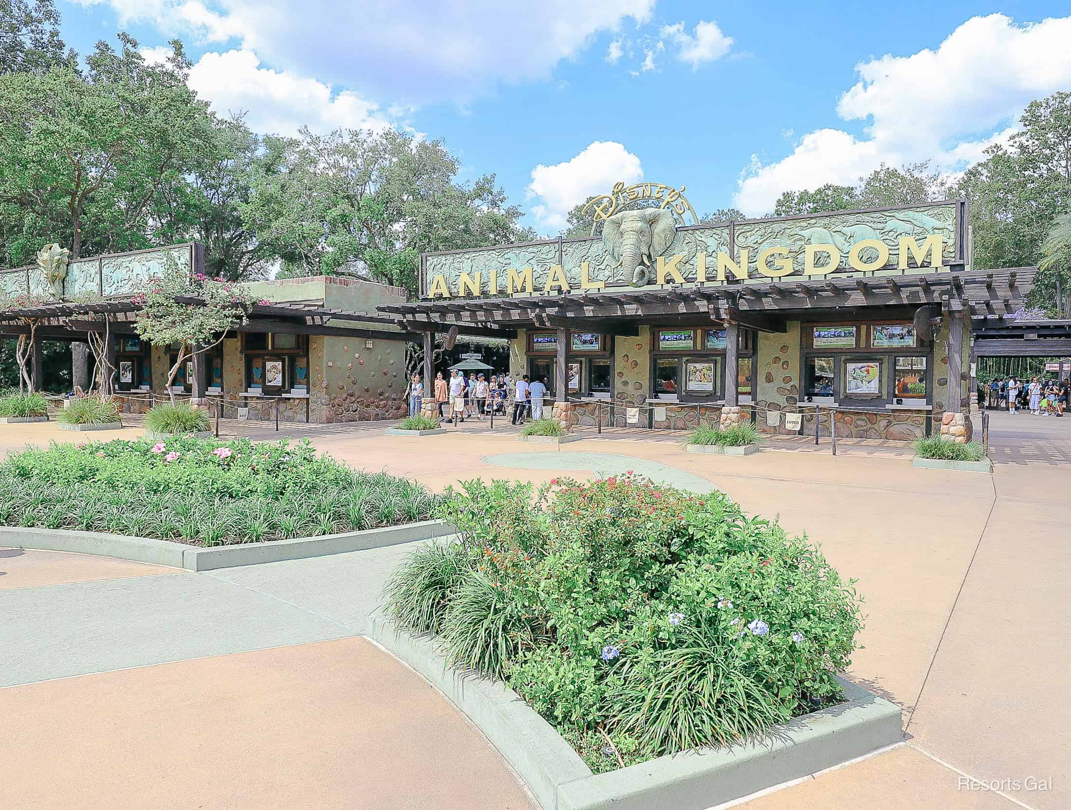 entrance of Disney's Animal Kingdom 