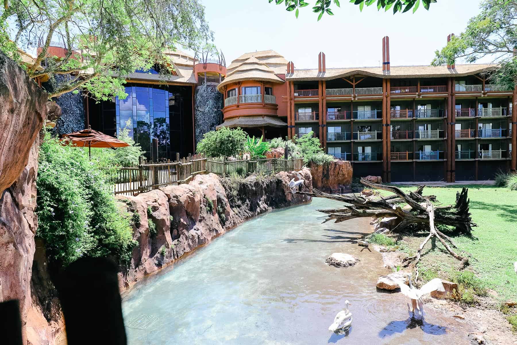 a scenic Disney's Animal Kingdom Lodge with stream running behind it 