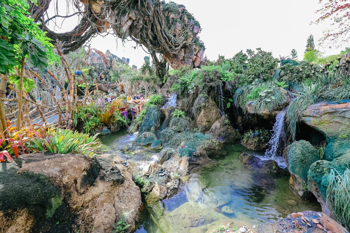 pandora world of avatar 