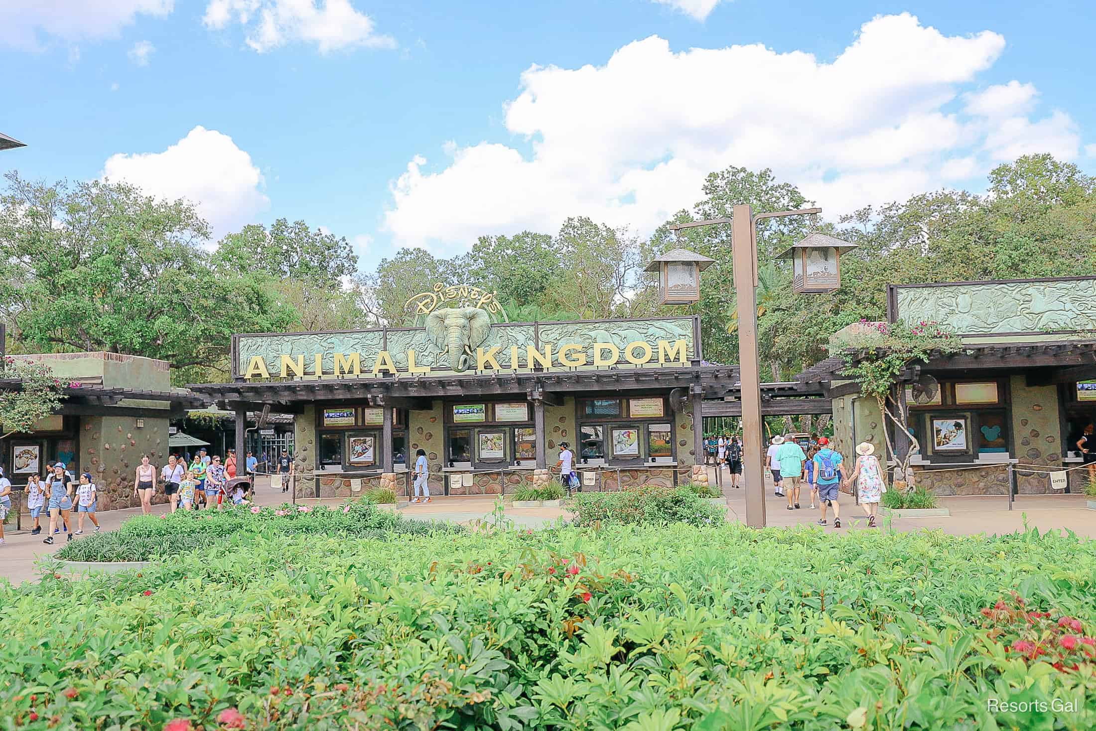 guests entering Disney's Animal Kingdom theme park 