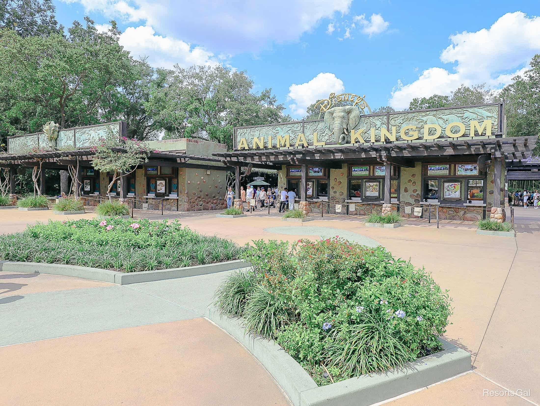 entrance of Disney's Animal Kingdom park 