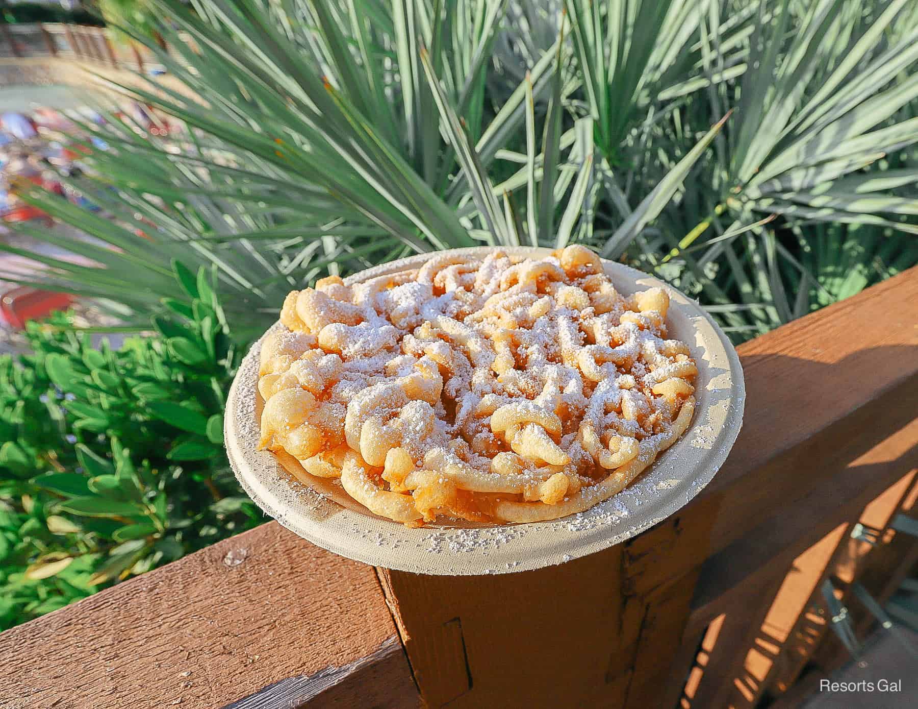 a funnel cake sitting on a ledge to represent Dining at Disney's Blizzard Beach