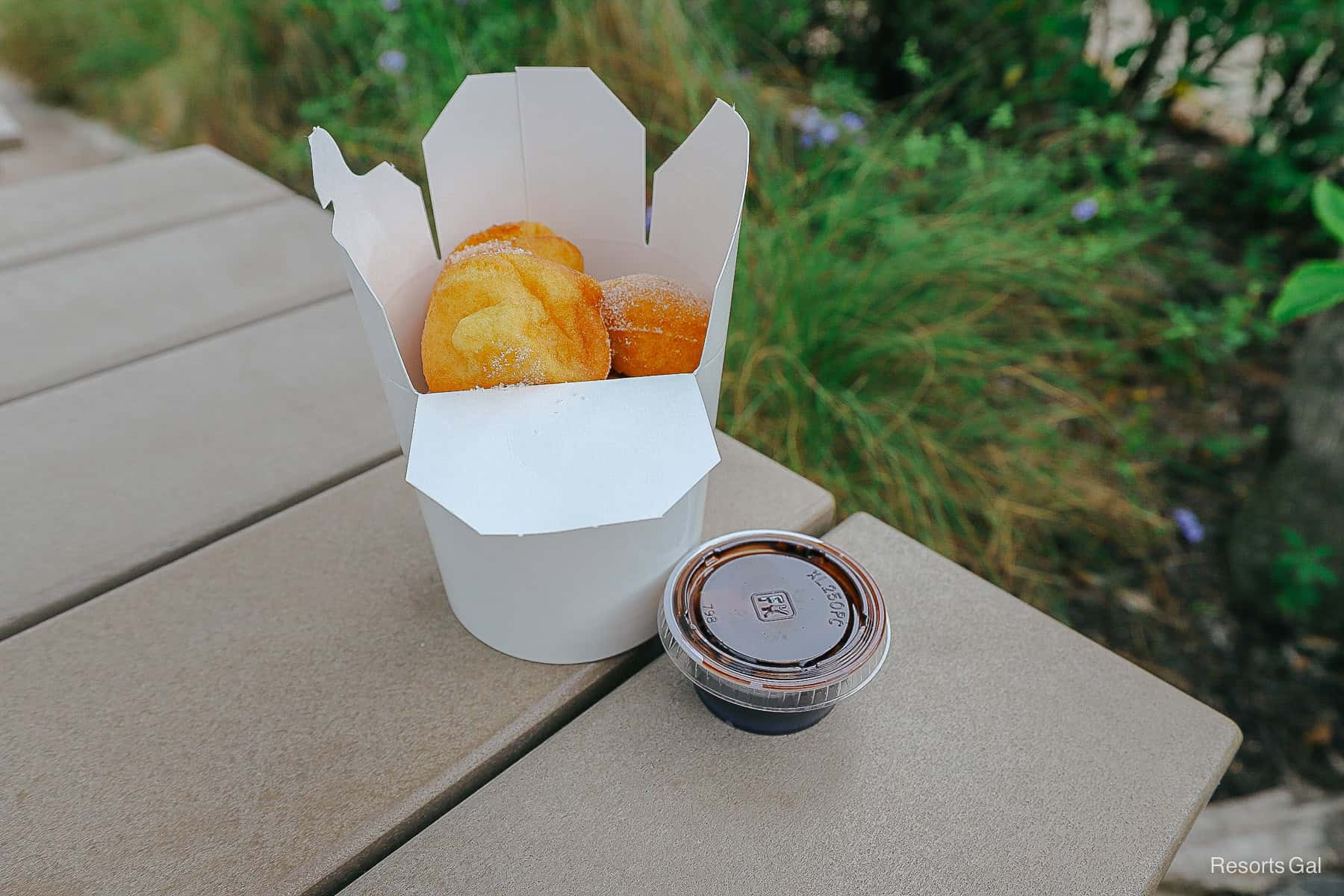 an order of mini donuts from Joffrey's at Blizzard Beach with chocolate dipping sauce 