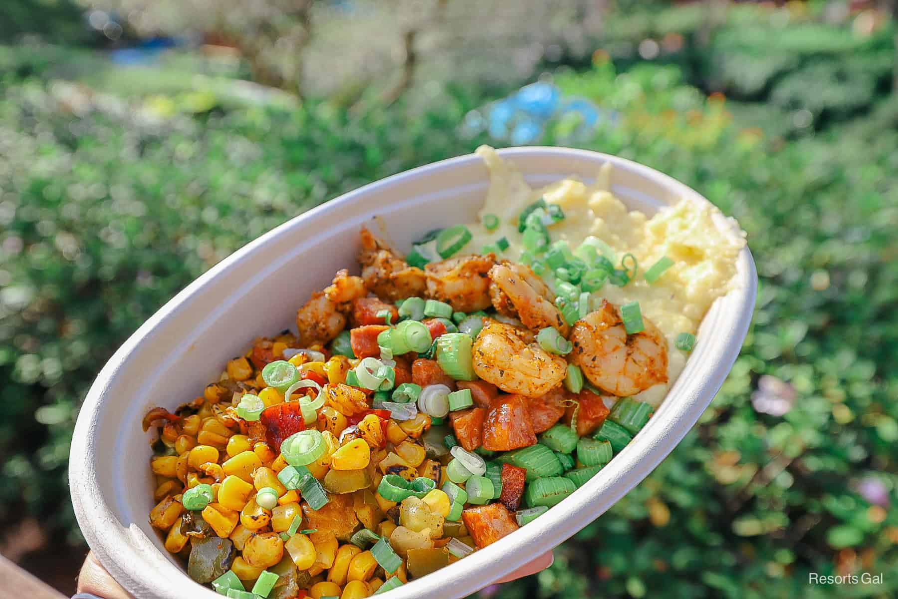 an order of shrimp and grits at Blizzard Beach 