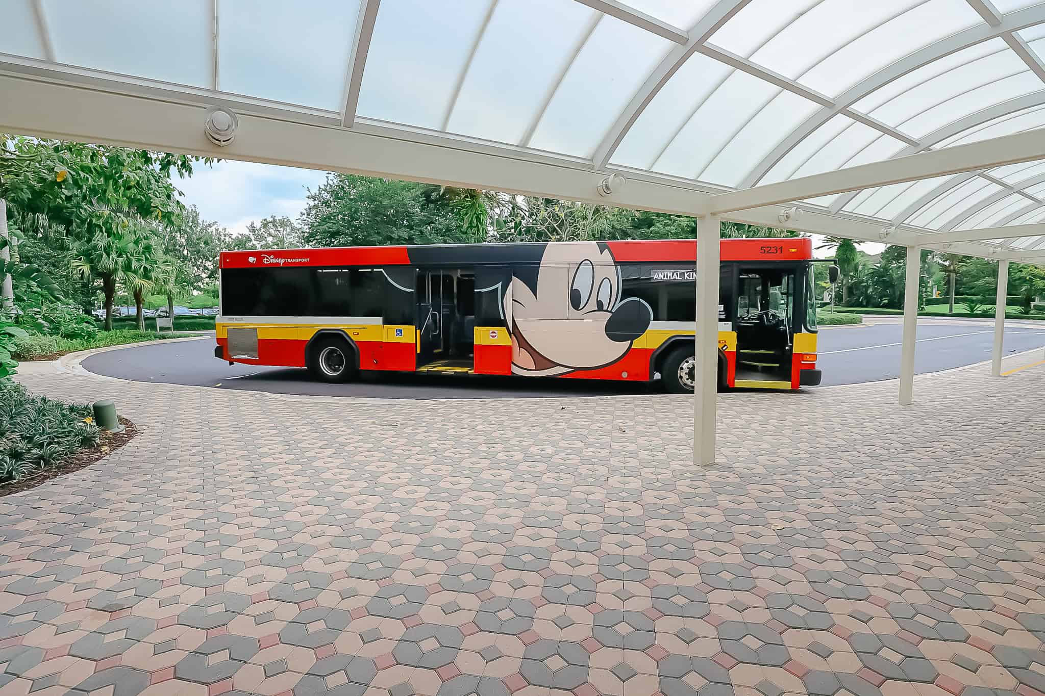 Staying at Disney's Contemporary Resort? We Tracked the Average Bus ...