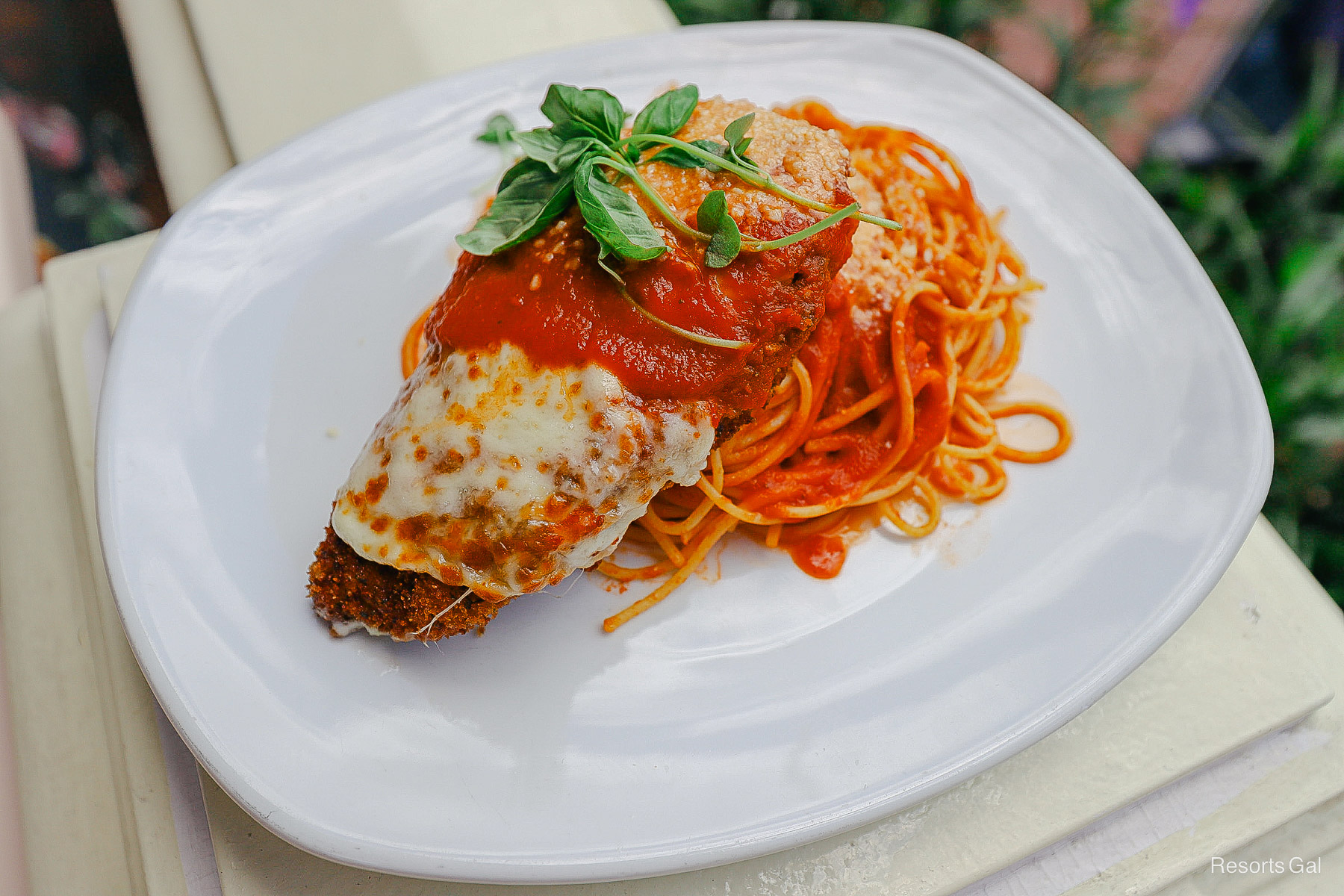 Chicken Parmesan on a plate with noodles 