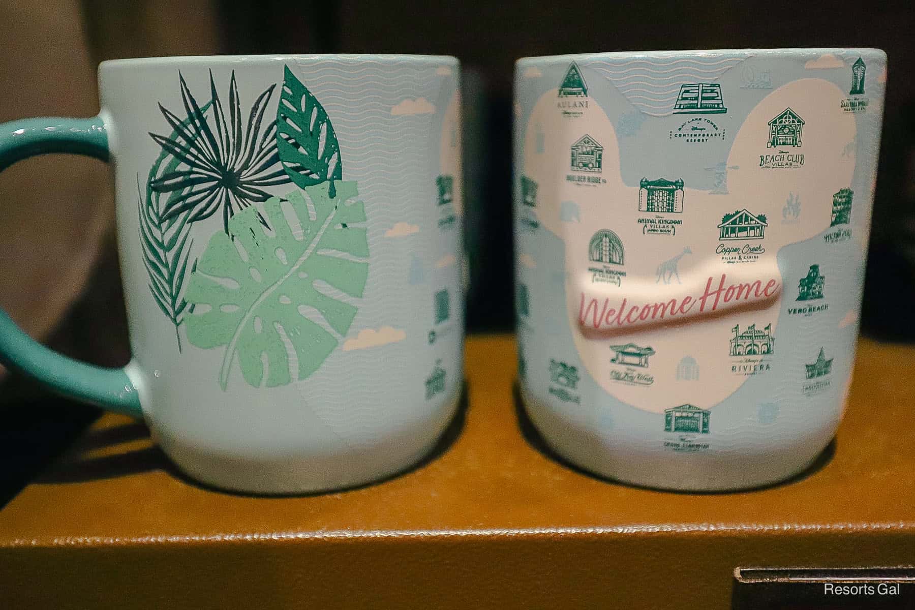 DVC mugs front and back 