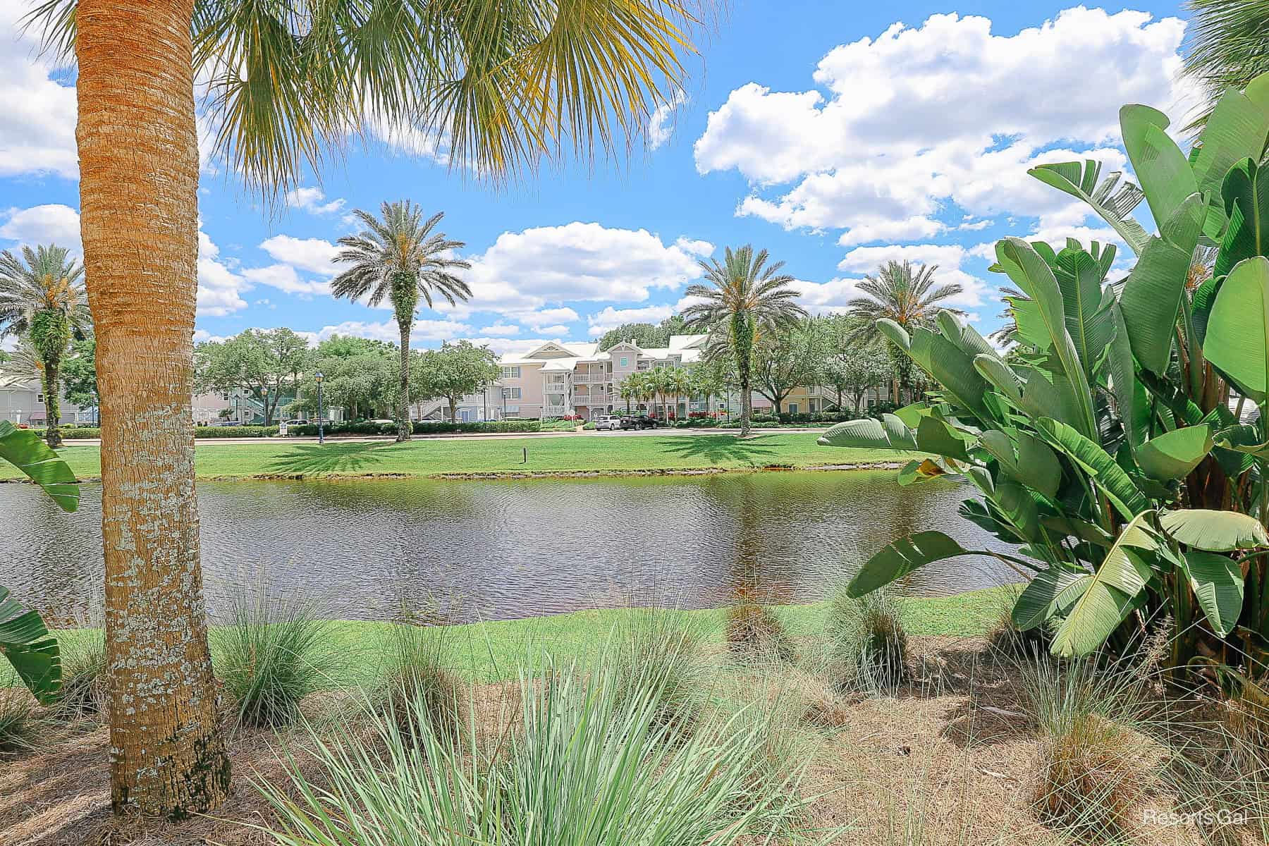 a scenic view of the water with palm trees at Disney's Old Key West 