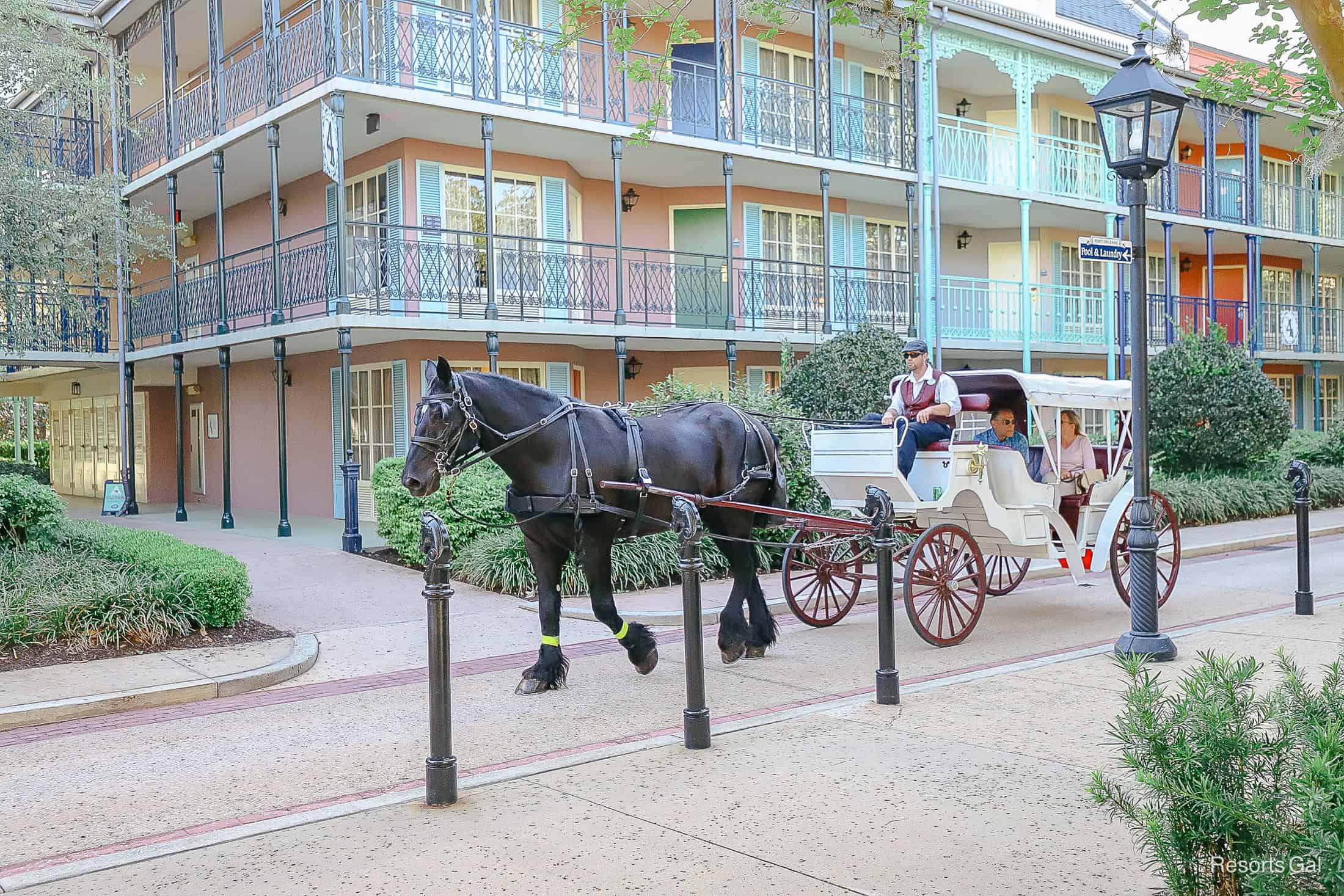a driver guiding a horse and carriage through the streets of Port Orleans French Quarter 