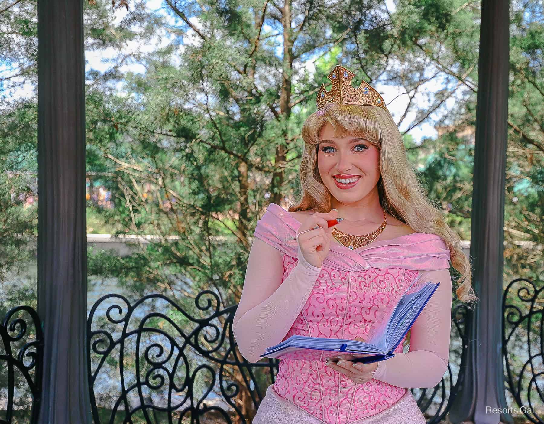 Princess Aurora wears her pink dress with golden crown. 