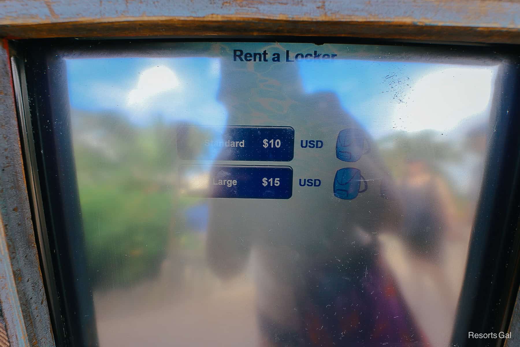 small and large locker rental prices at Typhoon Lagoon 