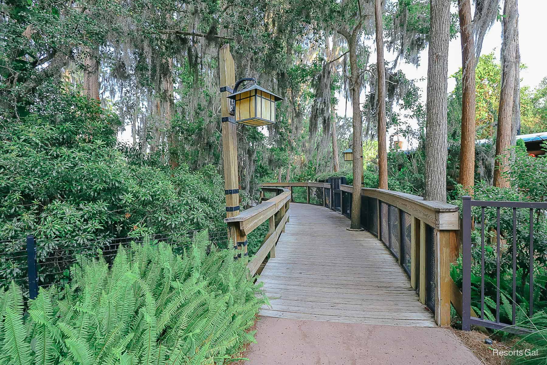 boardwalk from the boat dock to the lobby of the Wilderness Lodge 