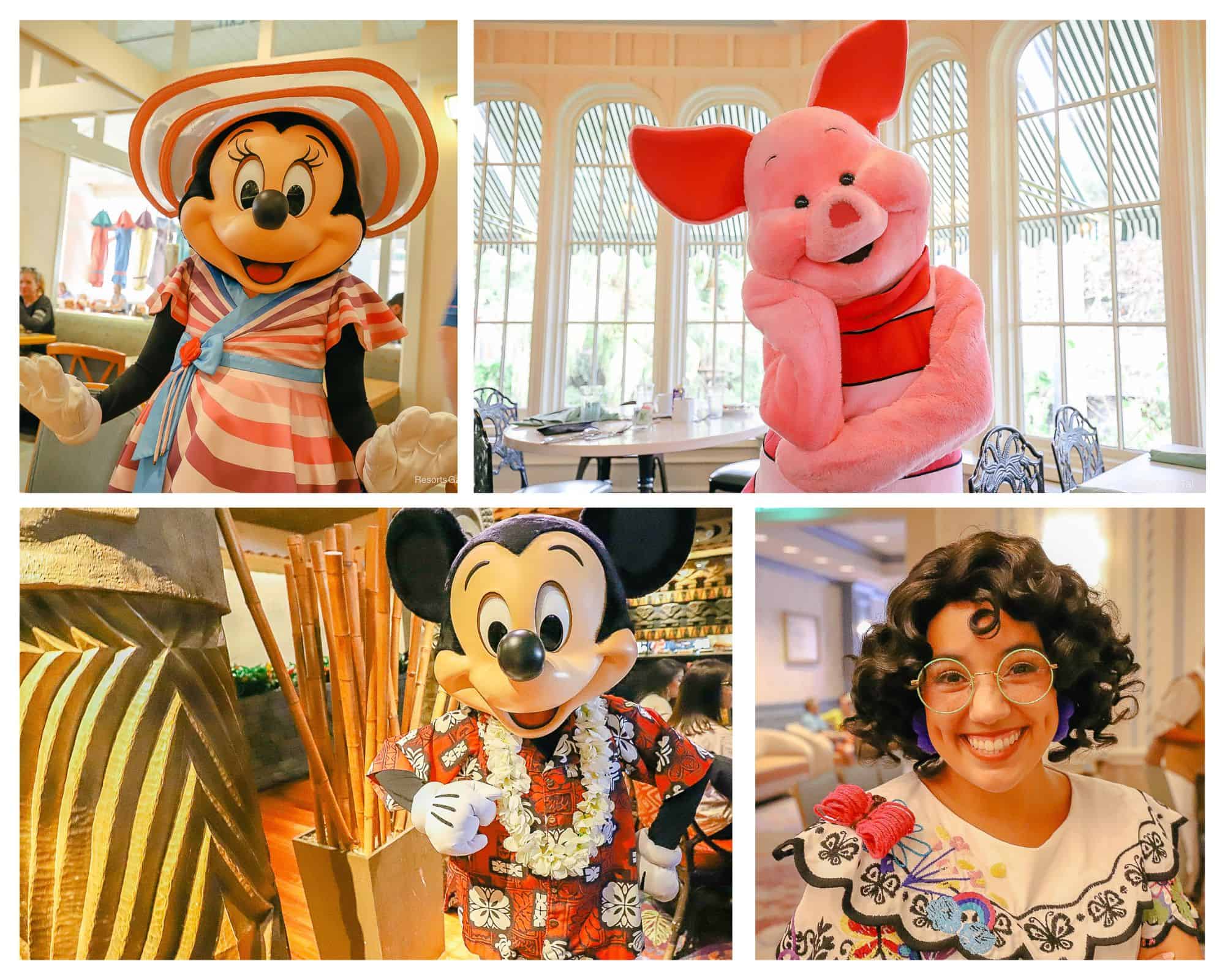 Disney World Character Dining Guide Collage