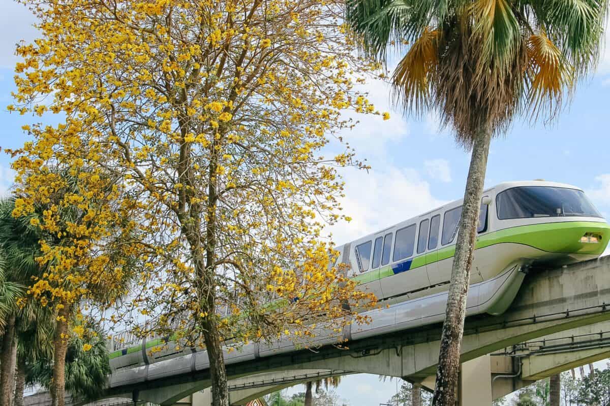 Disney World Monorail Hotels