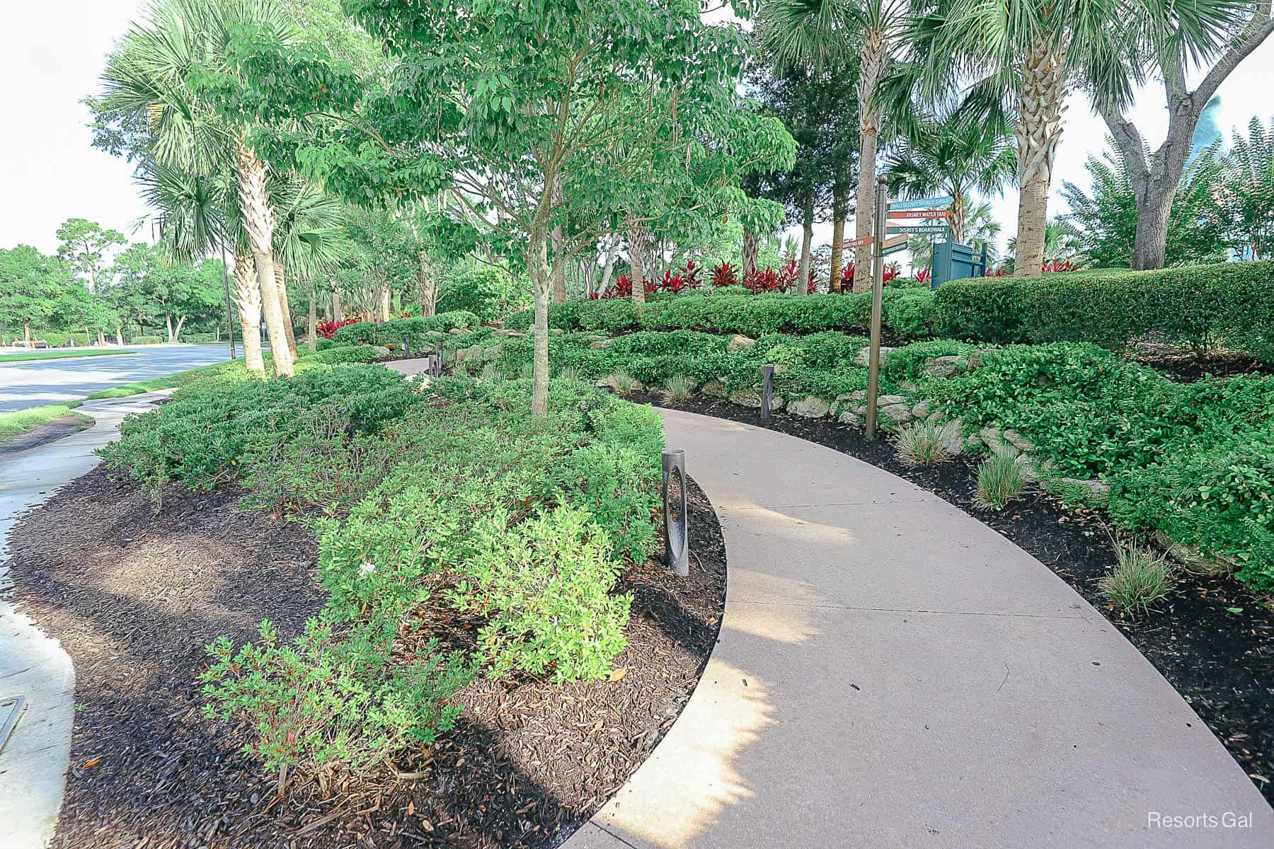 walkway with sidewalk and landscaping at the Swan Reserve