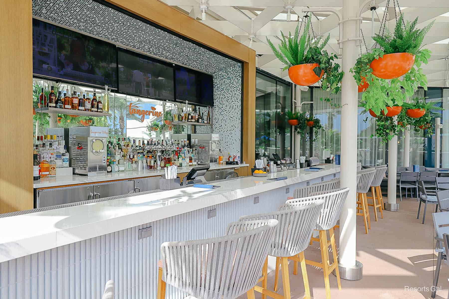 Tangerine bar with barstools and hanging potted plants near the Swan Reserve Pool 